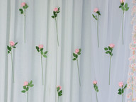 Cenário de Dia das Mães | Estúdio Bia Barboza