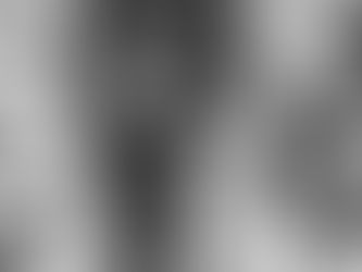 Capturing Moments: The Ultimate Guide to Finding the Best Photographer in Allentown