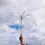 Miniature : Parapluie
