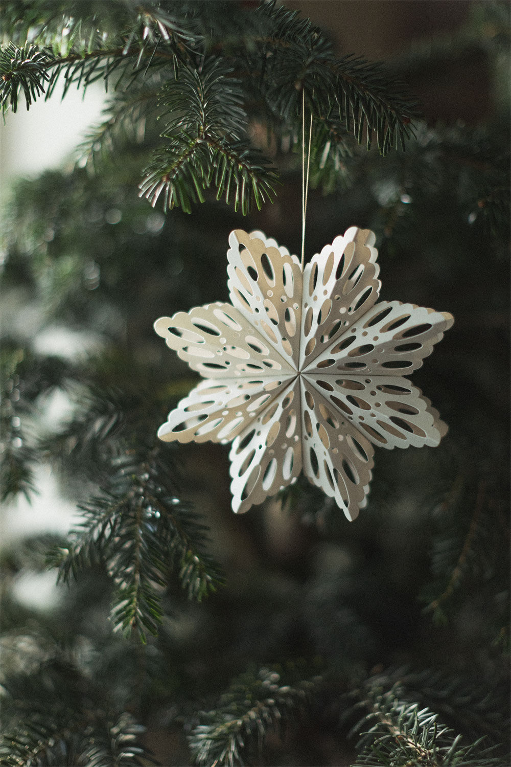 Flocon de neige beige