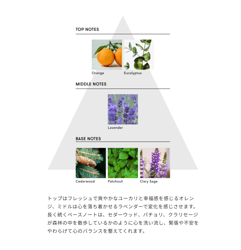 サムネイル： トップはフレッシュで爽やかなユーカリと幸福感を感じるオレンジ、ミドルは心を落ち着かせるラベンダーで変化を感じさせます。