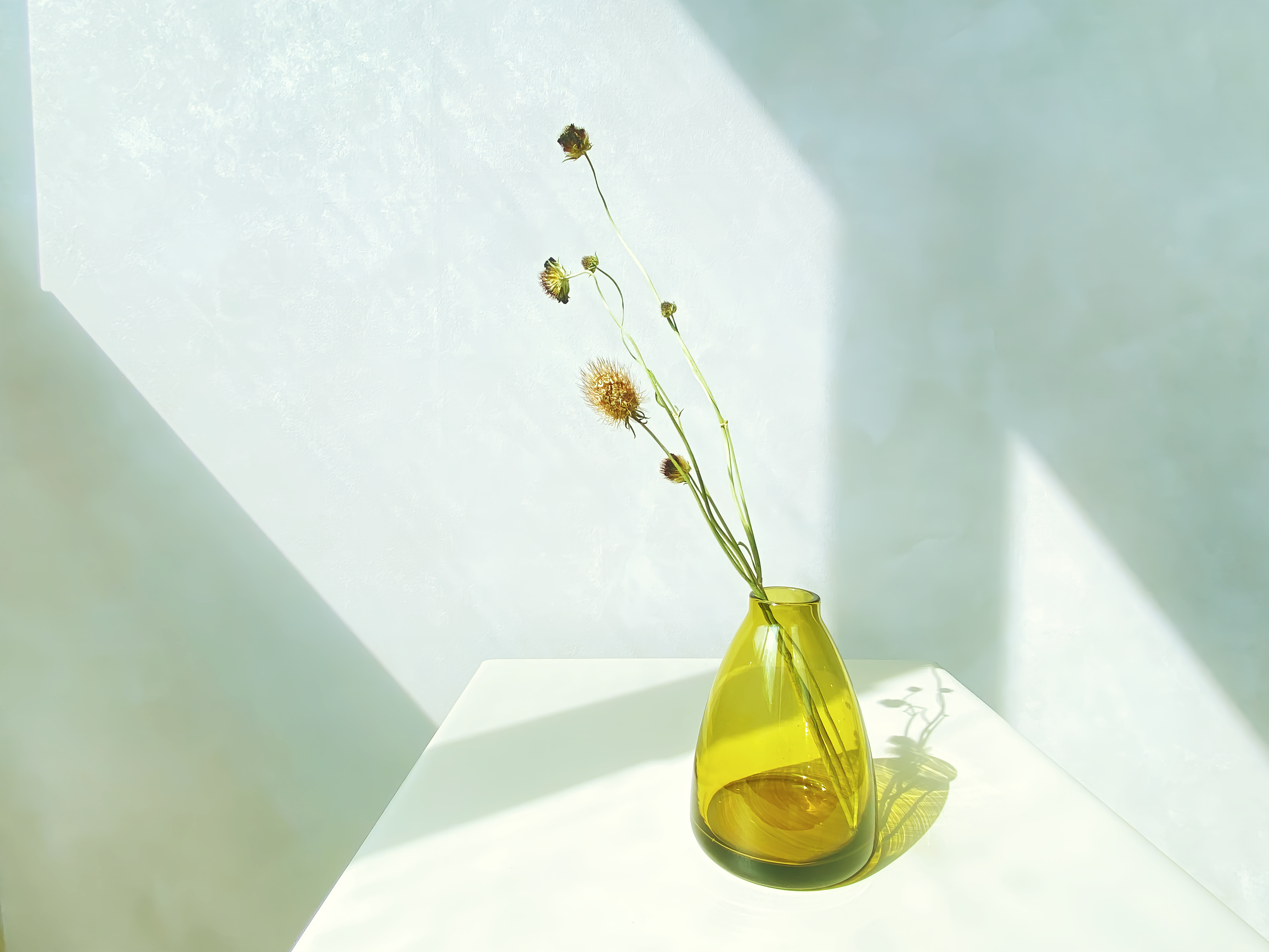 【shesay】丸みが愛らしい 小さなガラスのフラワーベース フレアー