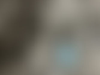 6/18~6/22 森下能風子 墨画展「見果てぬ夢」