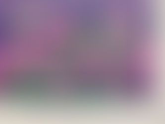 鈴木英之 版画展(リトグラフ)