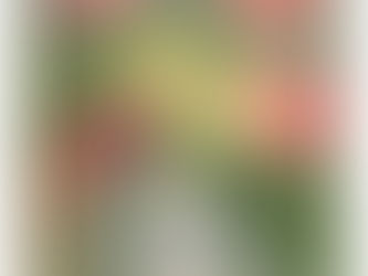 5/24〜6/4 鈴木英之 個展 花模様