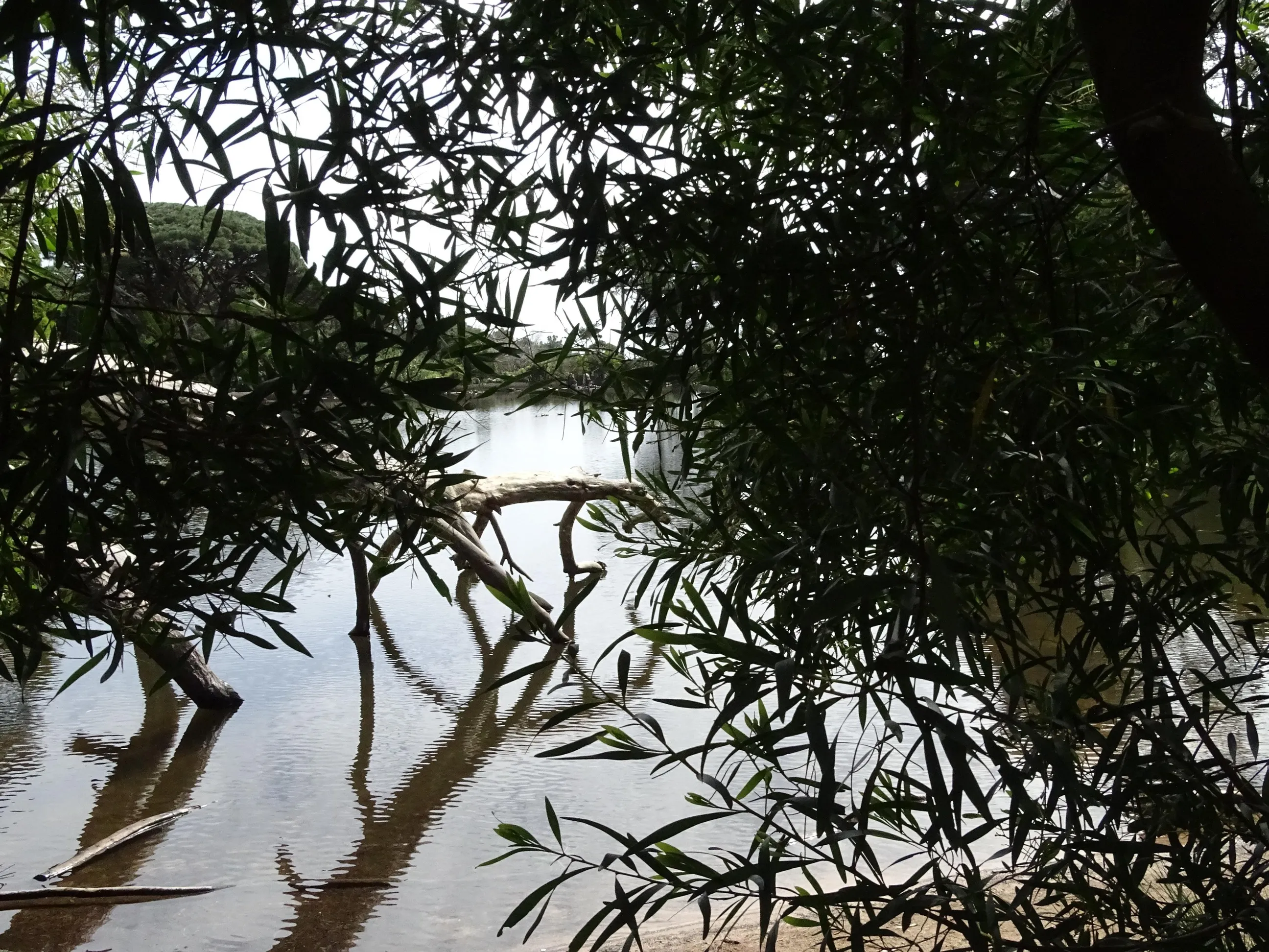 Passeio Pedestre à Lagoa Azul - SPN | 17032024