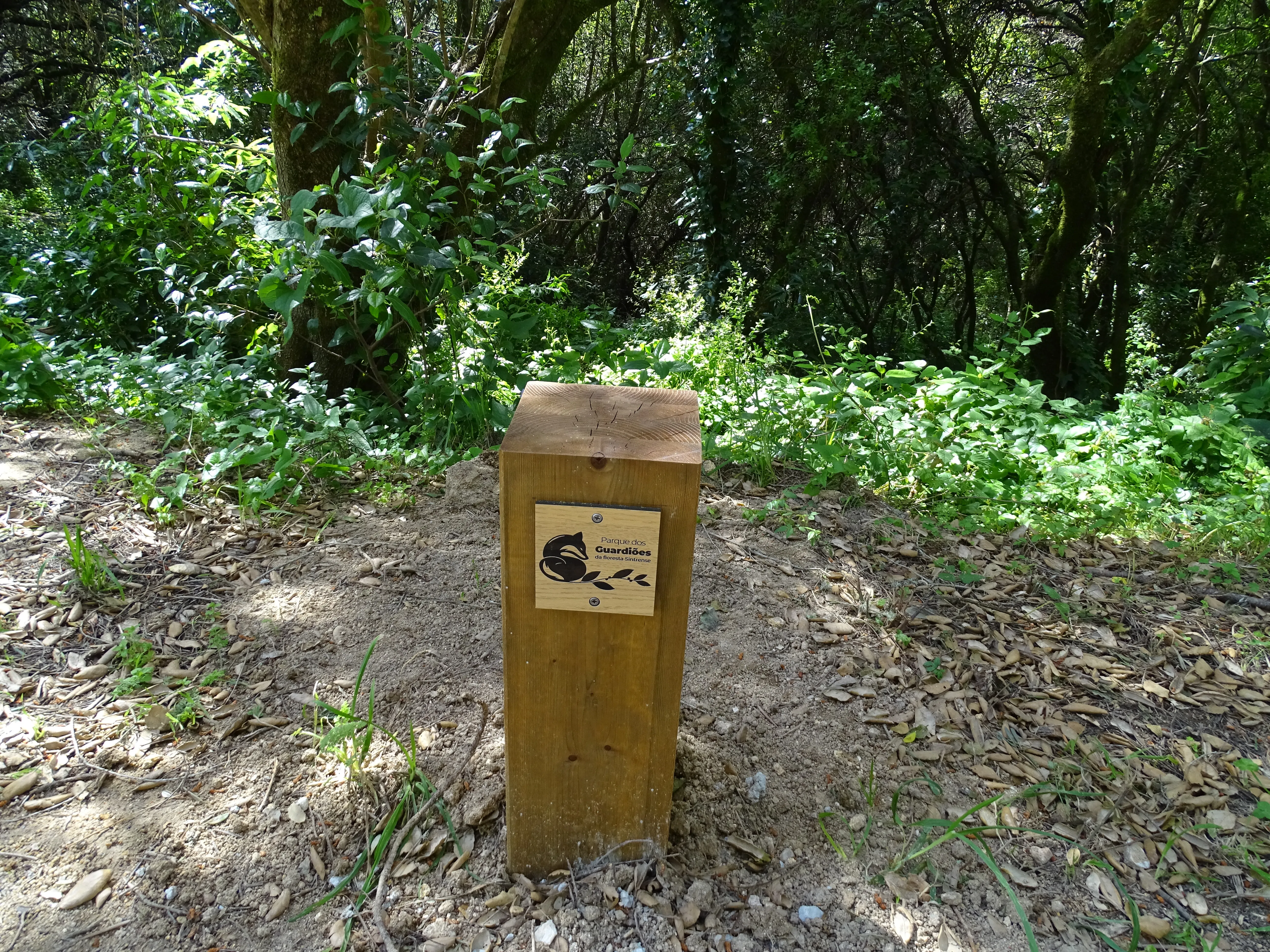 Passeio Pedestre à Lagoa Azul