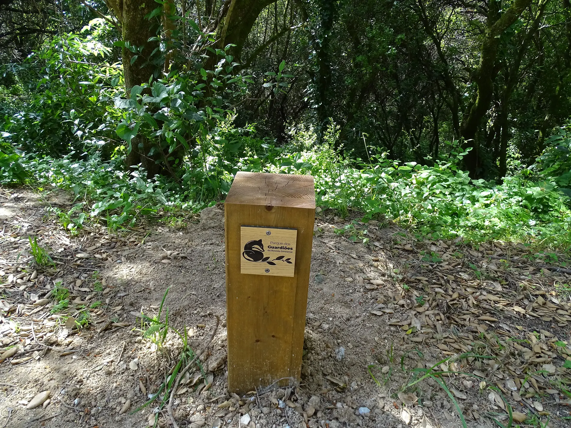 Passeio Pedestre à Lagoa Azul