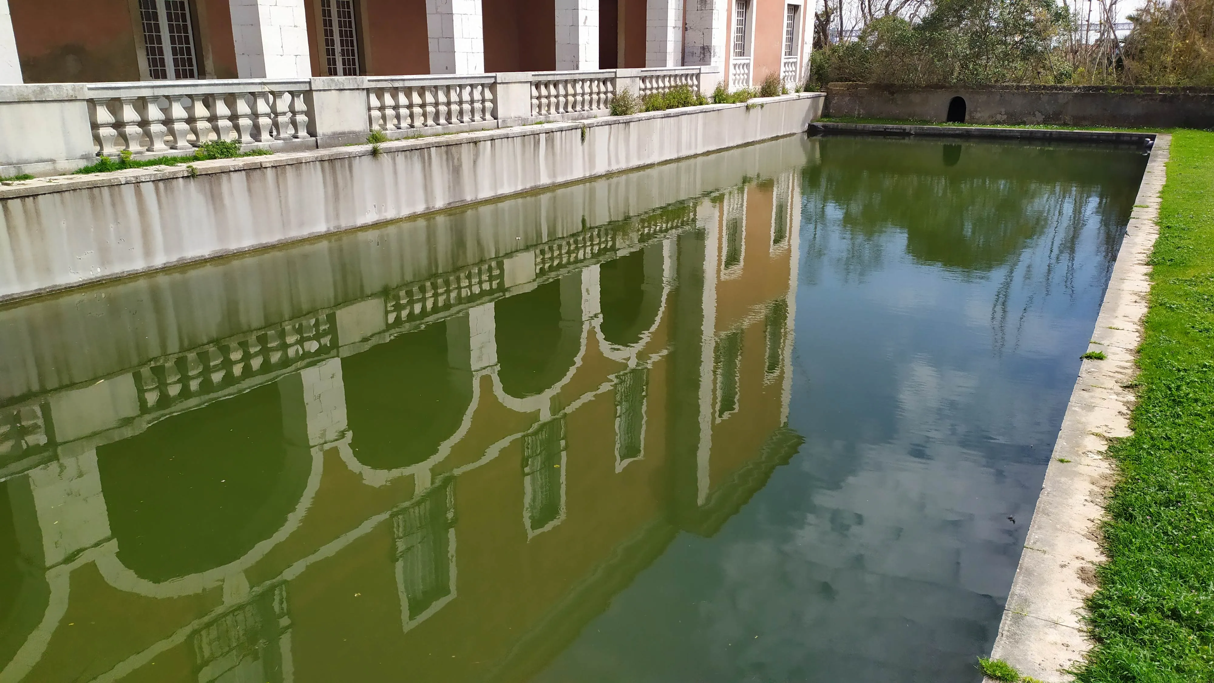 Visita ao Jardim Botânico Tropical