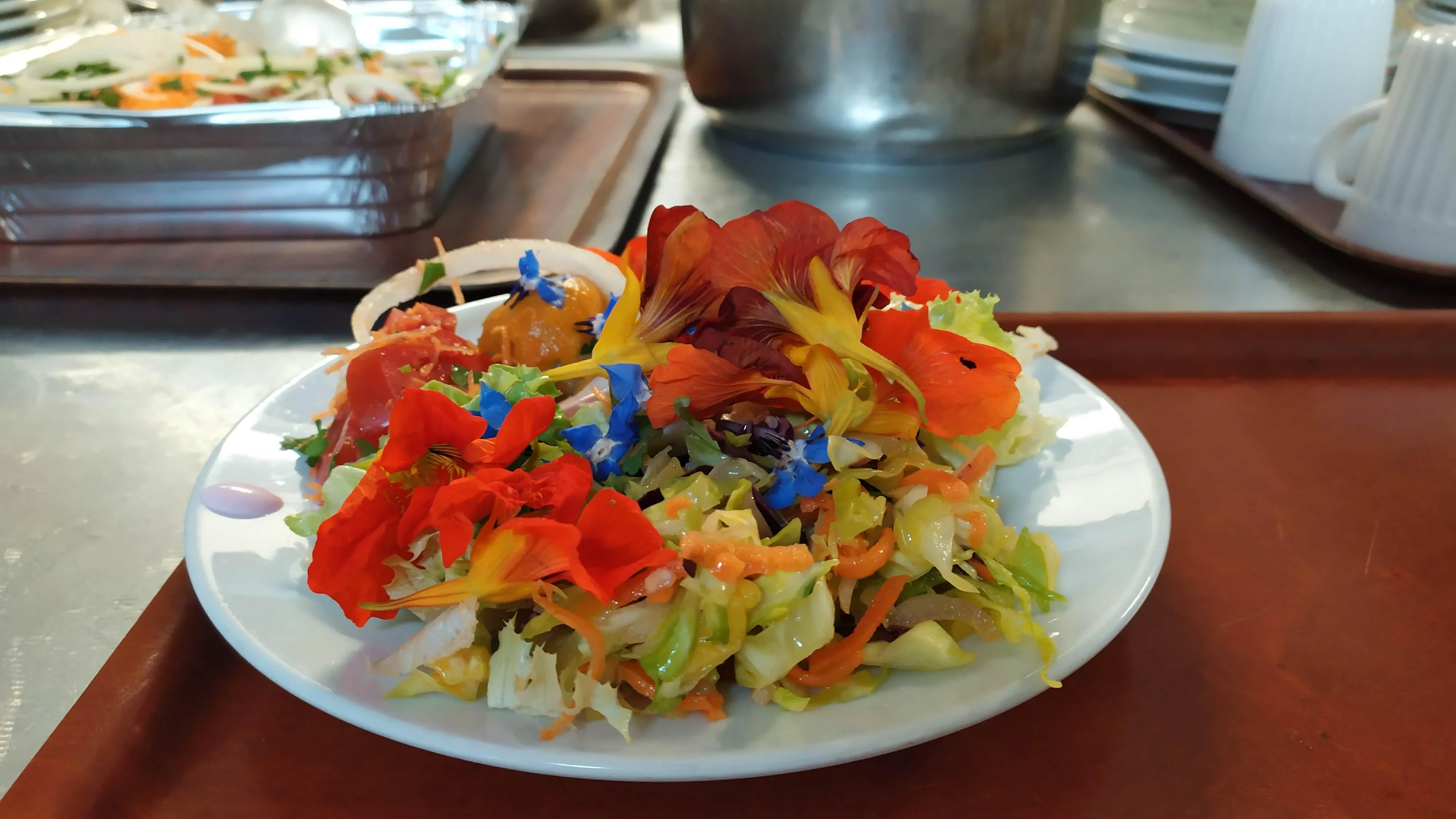 Almoço de Primavera da SPN em 28-04-2026