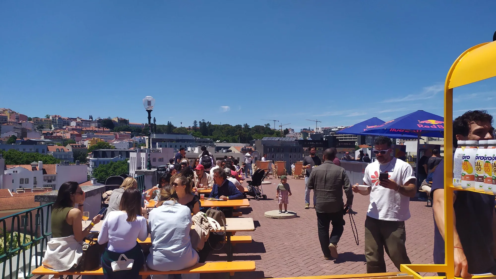 A SPN no Festival UMAMI – Veggie Food Fest 2026