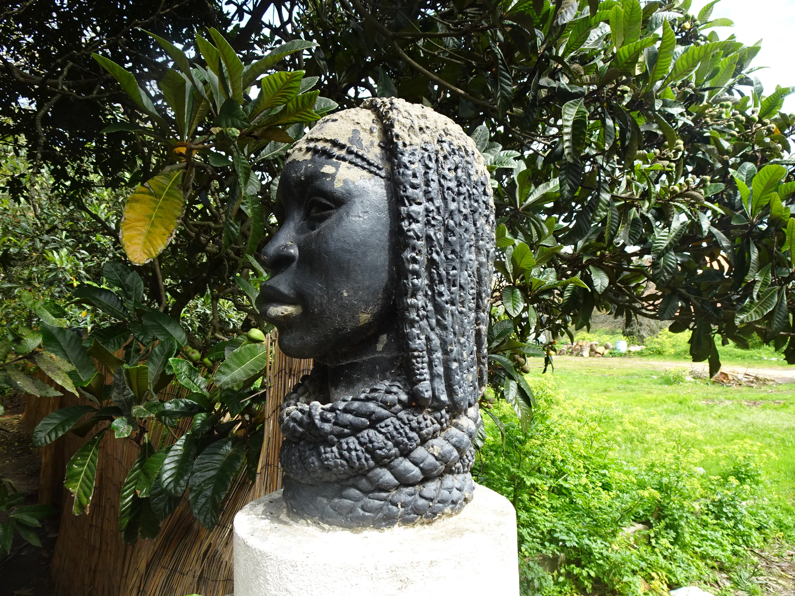 Jardim Botânico Tropical - A Visita