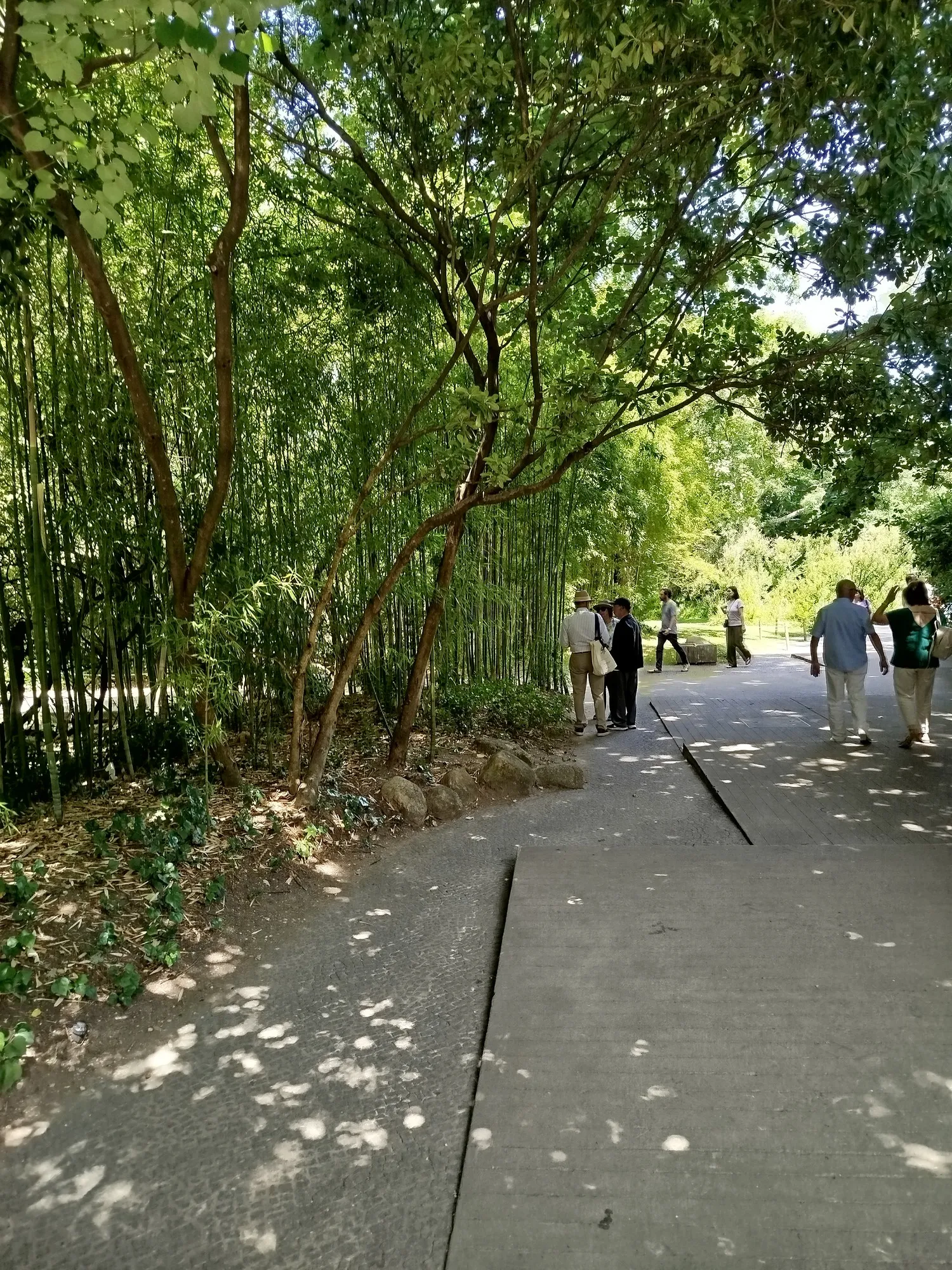 Jardins da Gulbenkian