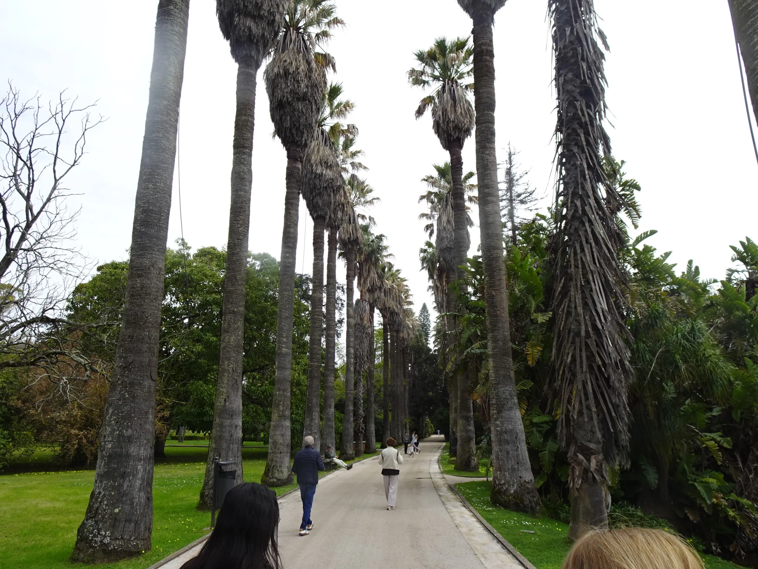 Jardim Botânico Tropical - A Visita