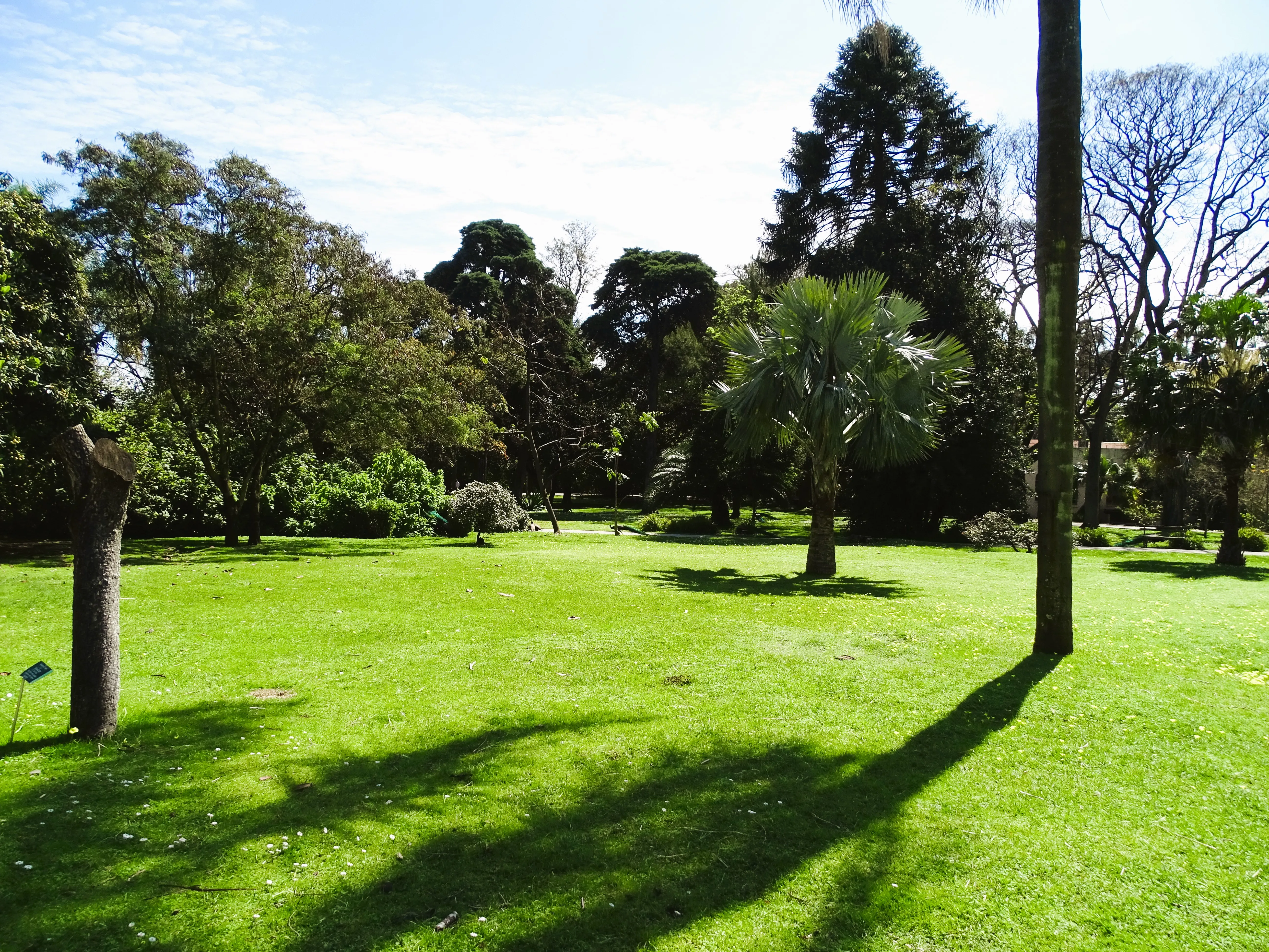 Visita ao Jardim Botânico Tropical