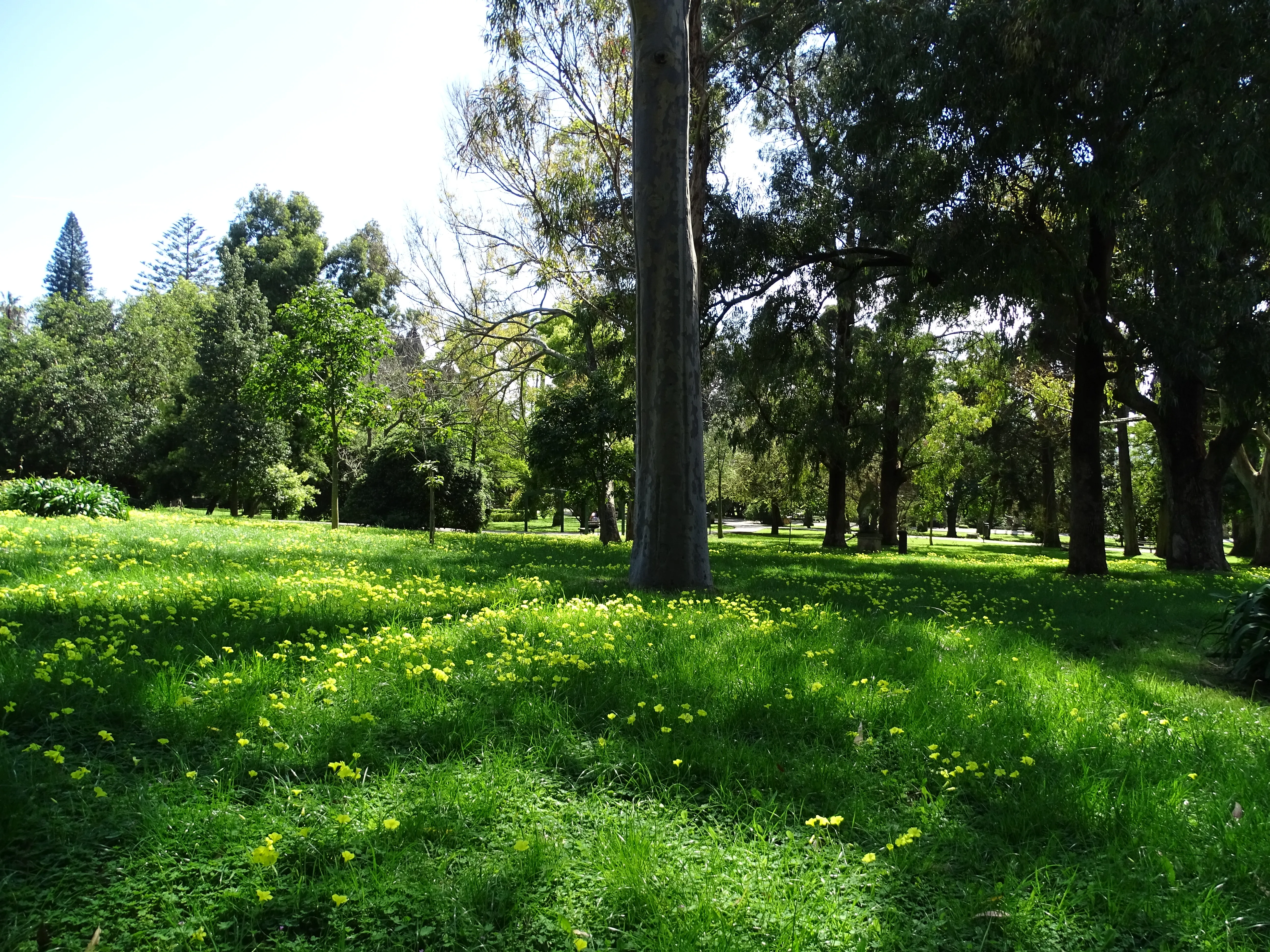 Visita ao Jardim Botânico Tropical