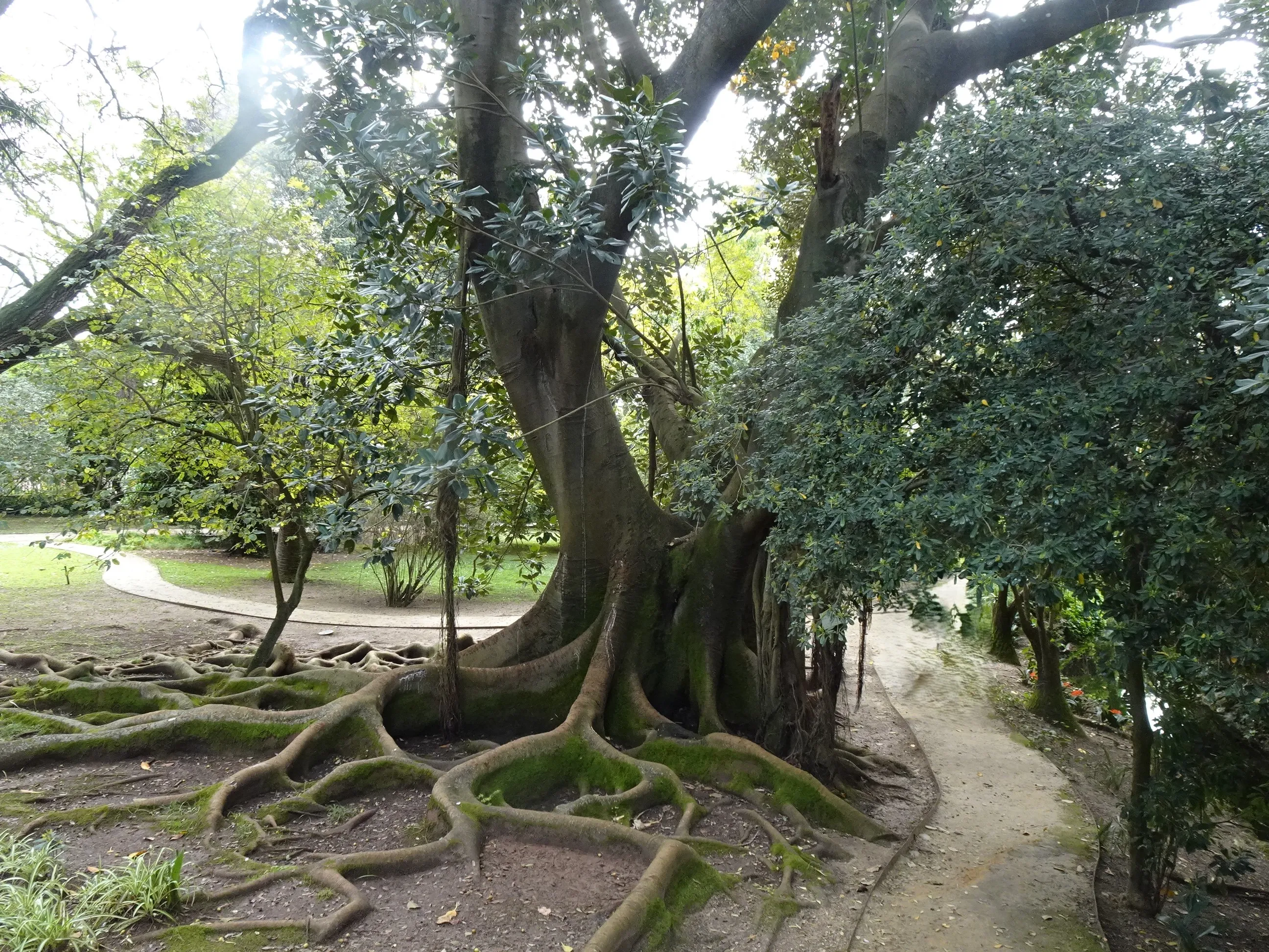 Jardim Botânico Tropical - A Visita