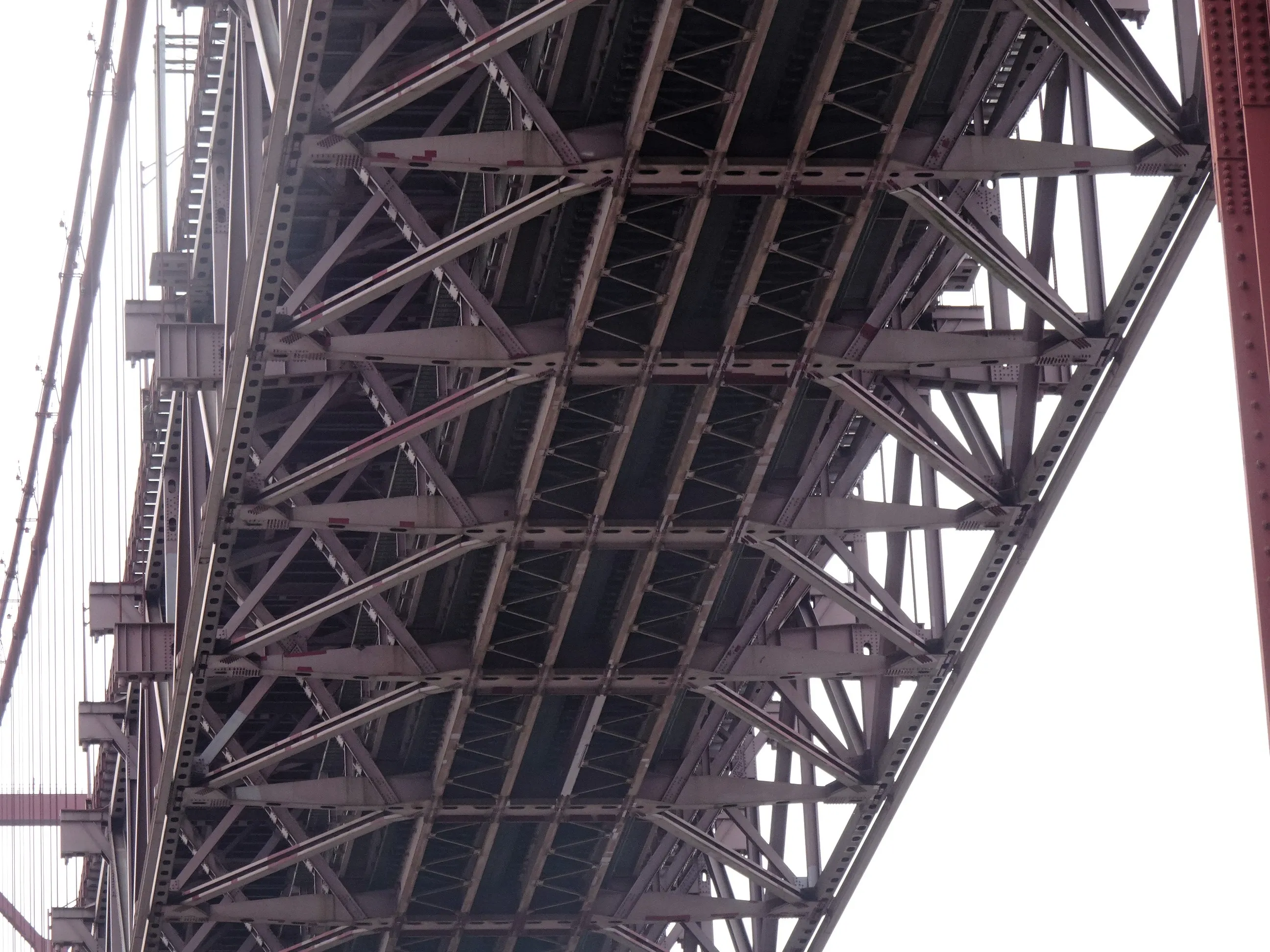 De Alcântara-Mar ao Jardim Tropical em Belém