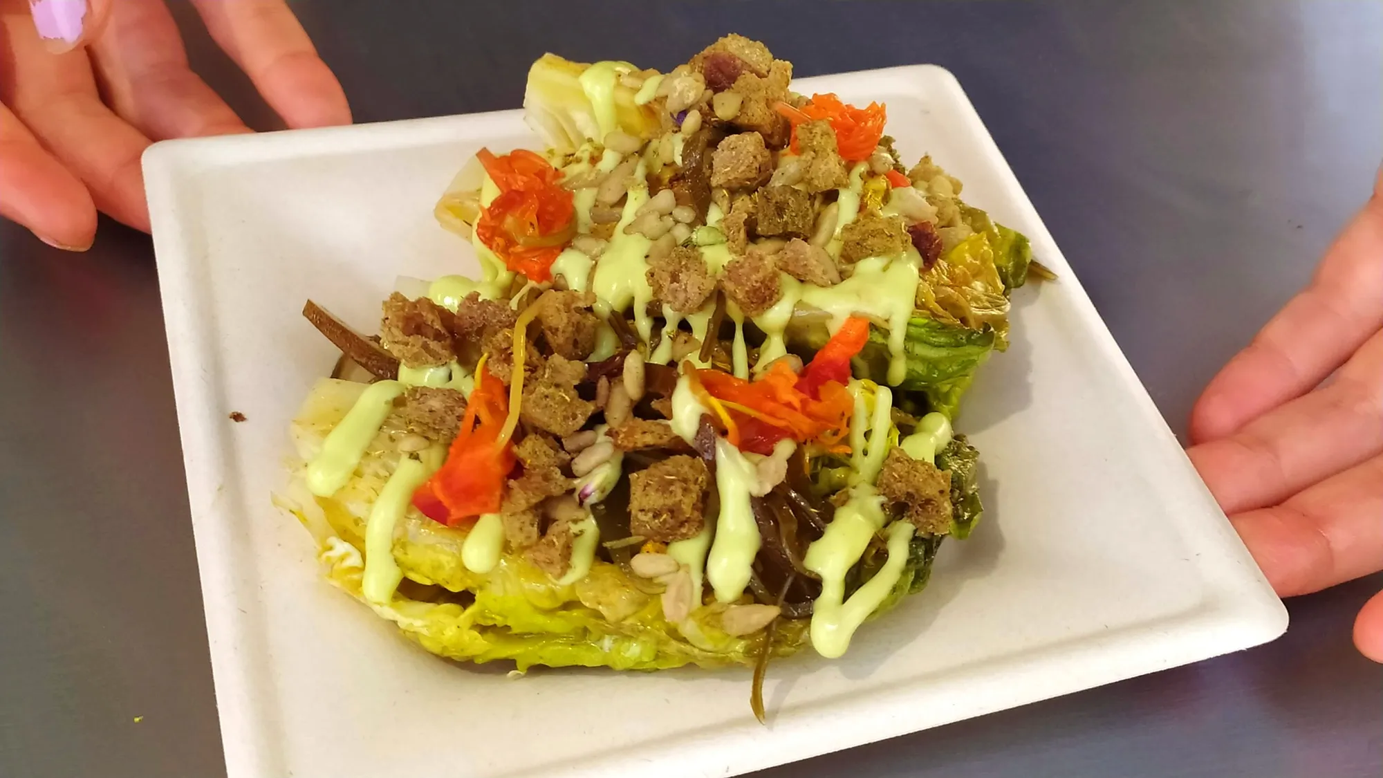 A SPN no Festival UMAMI – Veggie Food Fest 2026