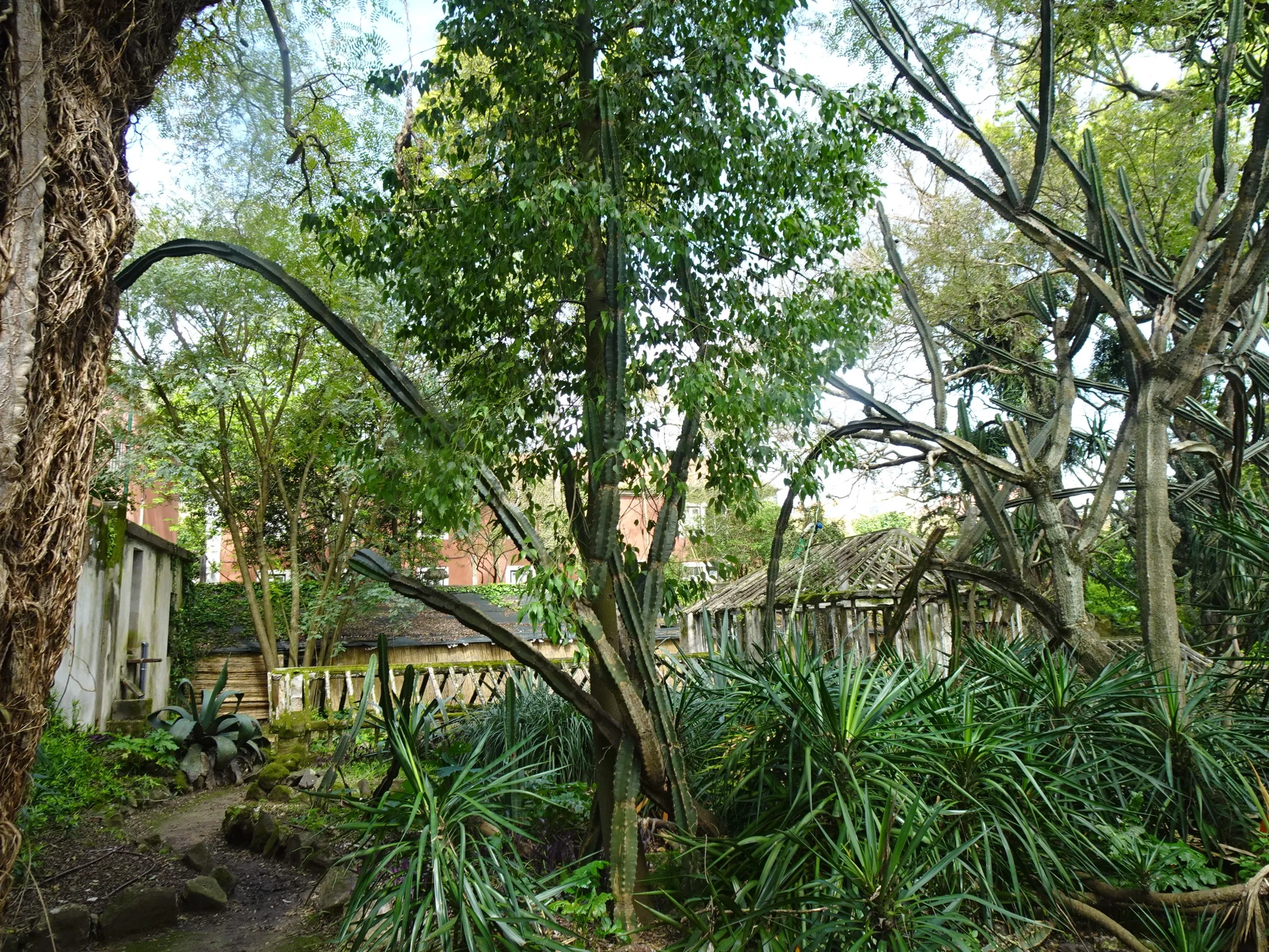 Jardim Botânico Tropical - A Visita