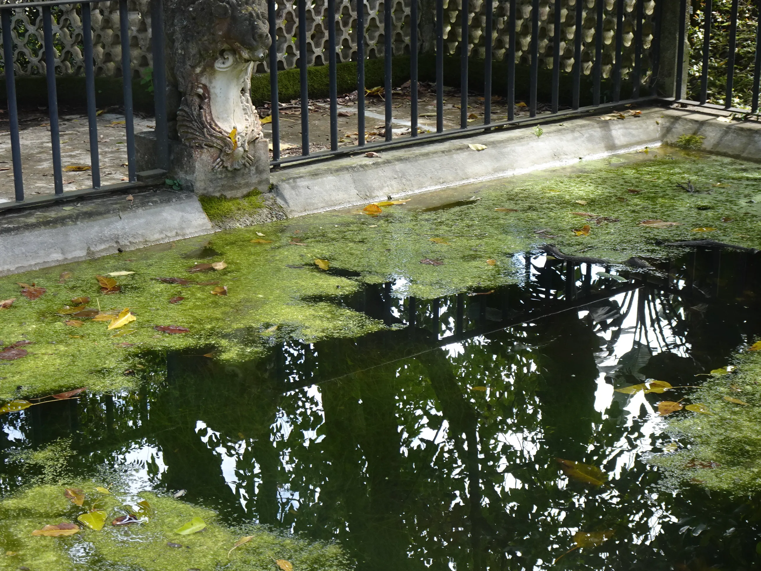 Jardim Botânico Tropical - A Visita