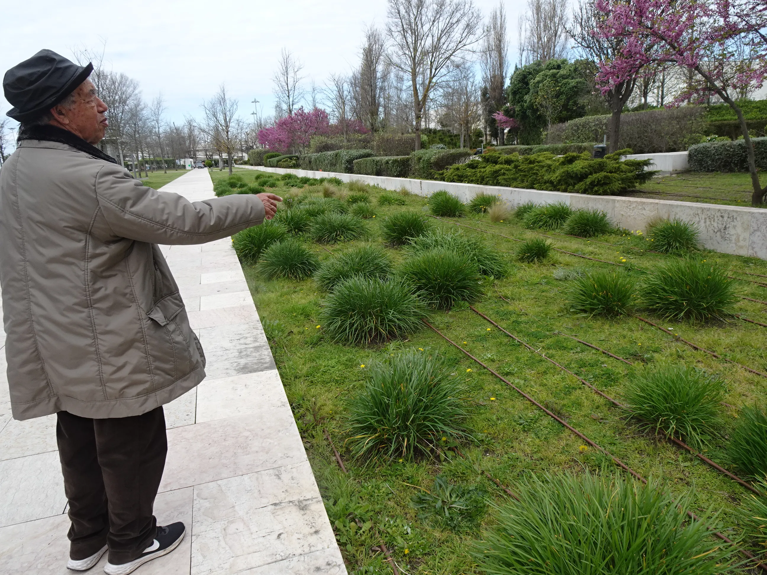 De Alcântara-Mar ao Jardim Tropical em Belém