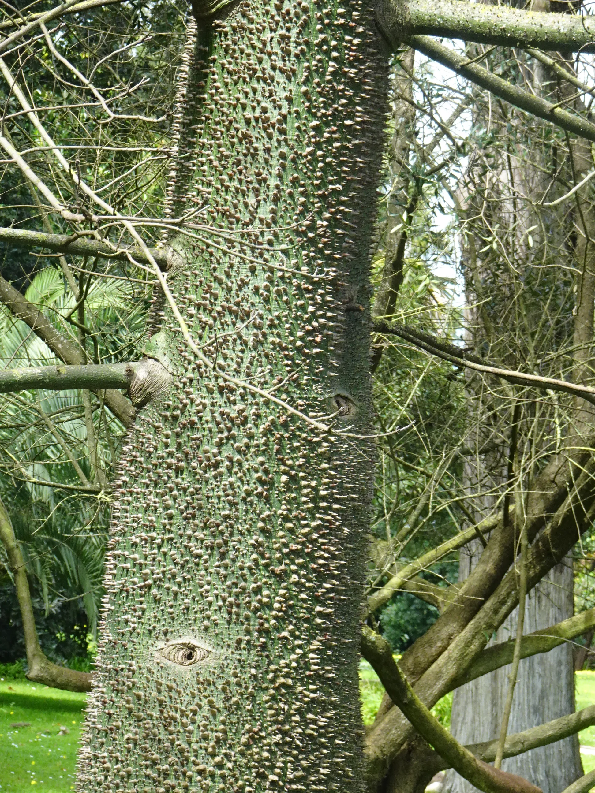 Jardim Botânico Tropical - A Visita