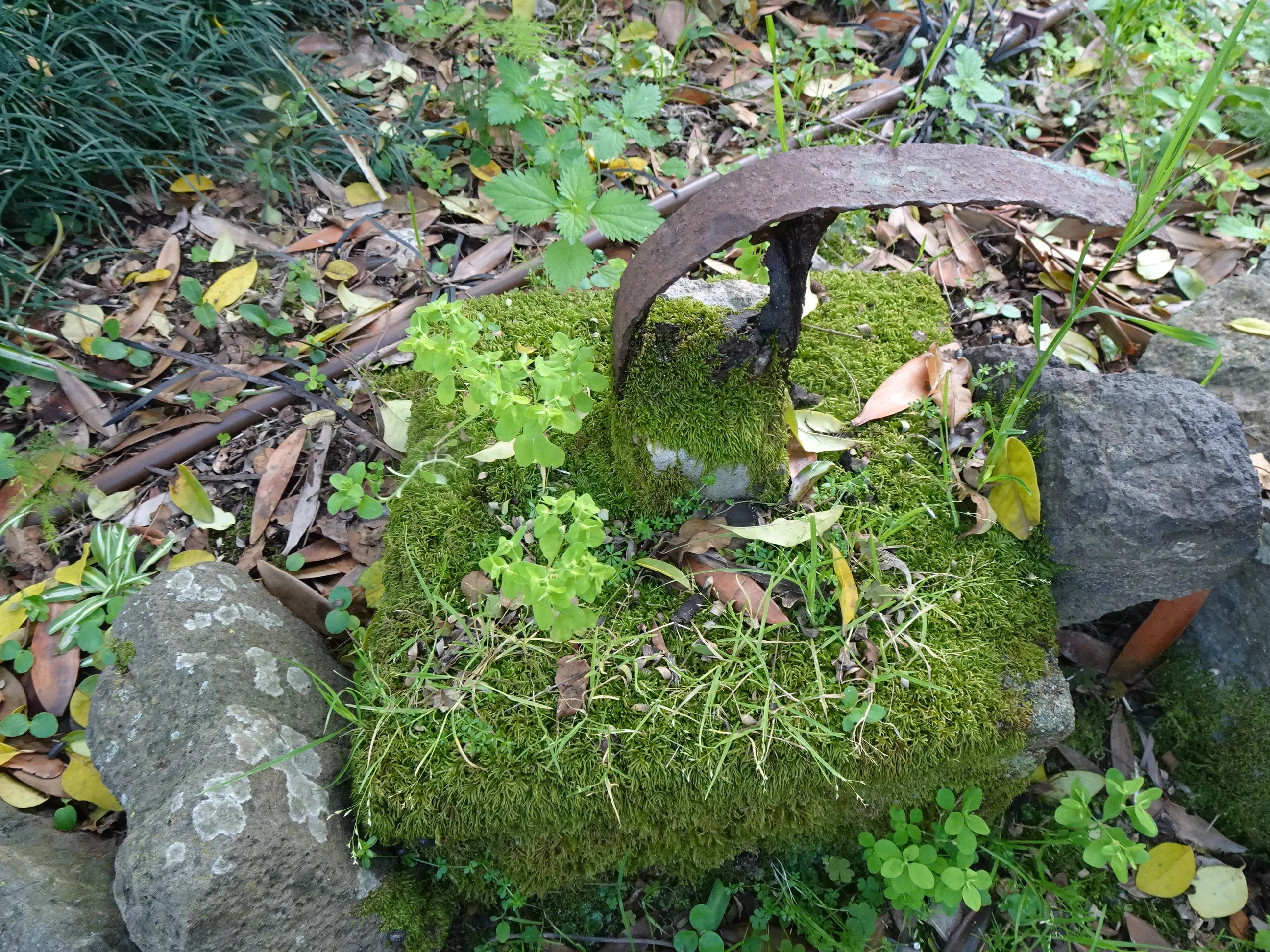 Jardim Botânico Tropical - A Visita