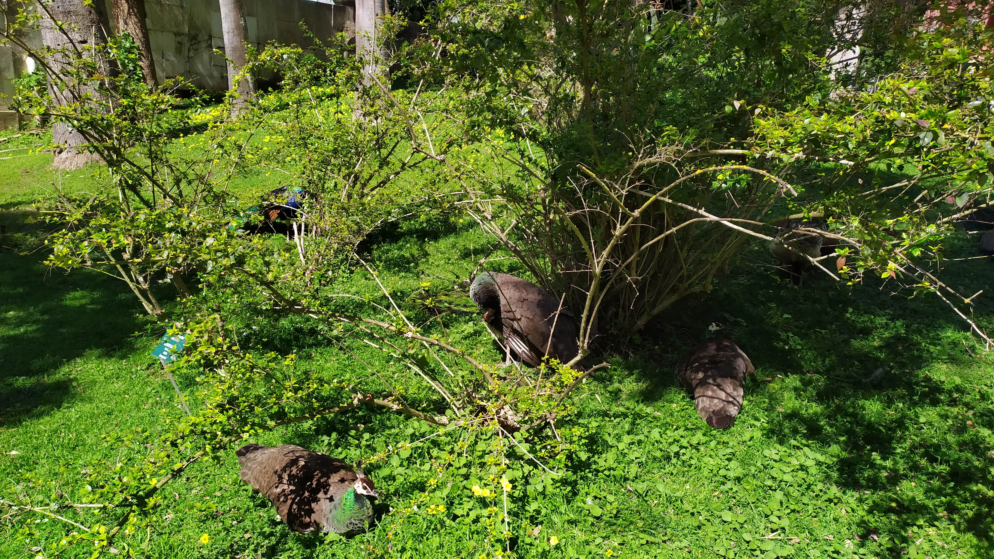 Visita ao Jardim Botânico Tropical