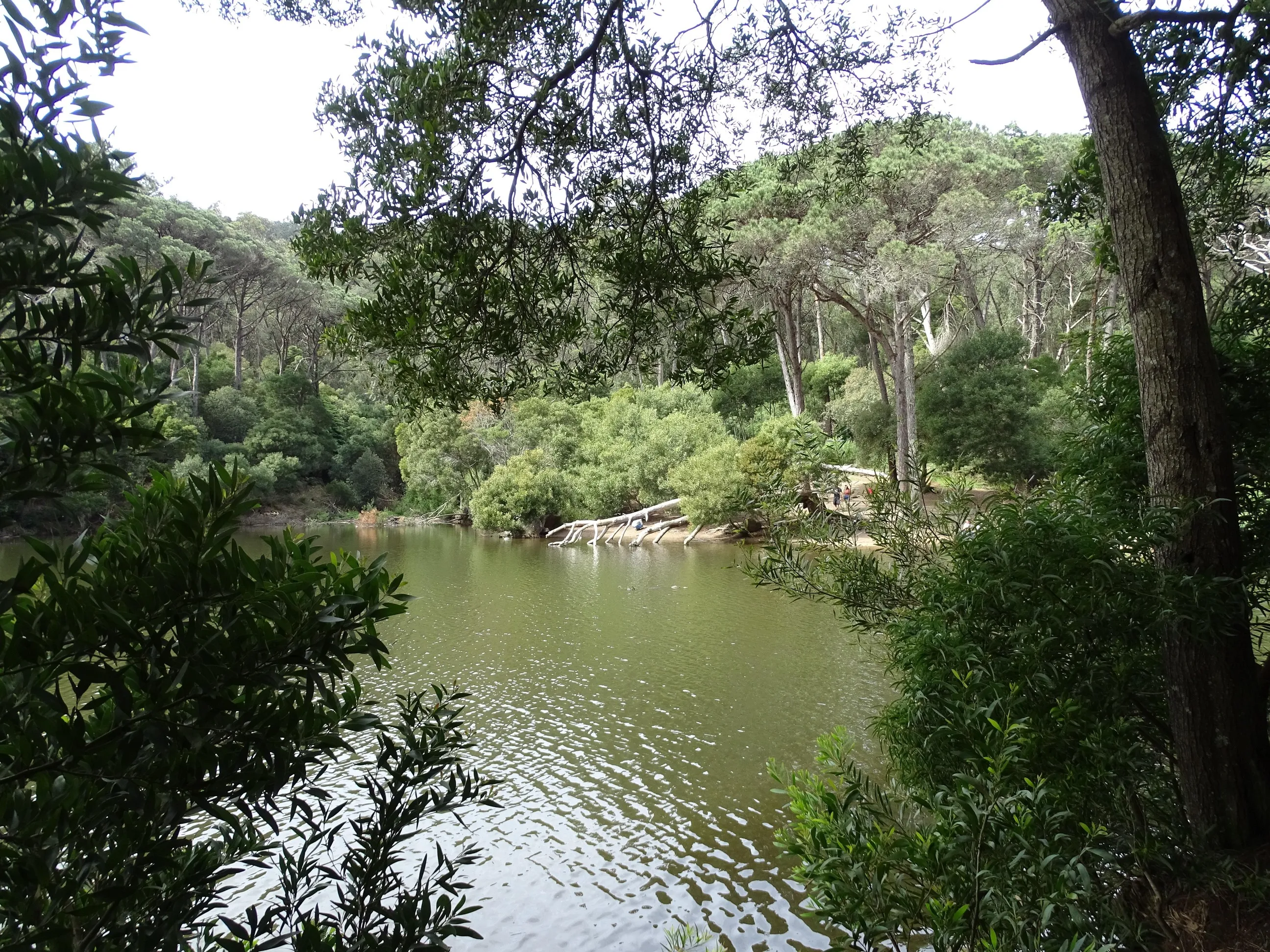 Passeio Pedestre à Lagoa Azul - SPN | 17032024