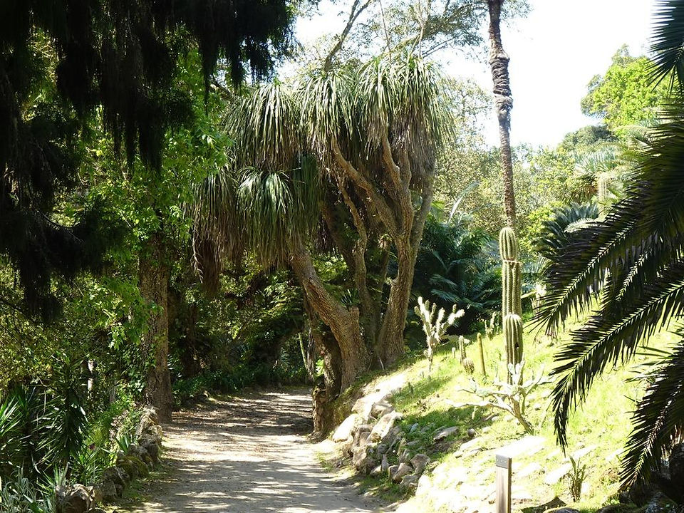 Monserrate - Sintra Parque e Palácio - Passeio Pedestre 2025