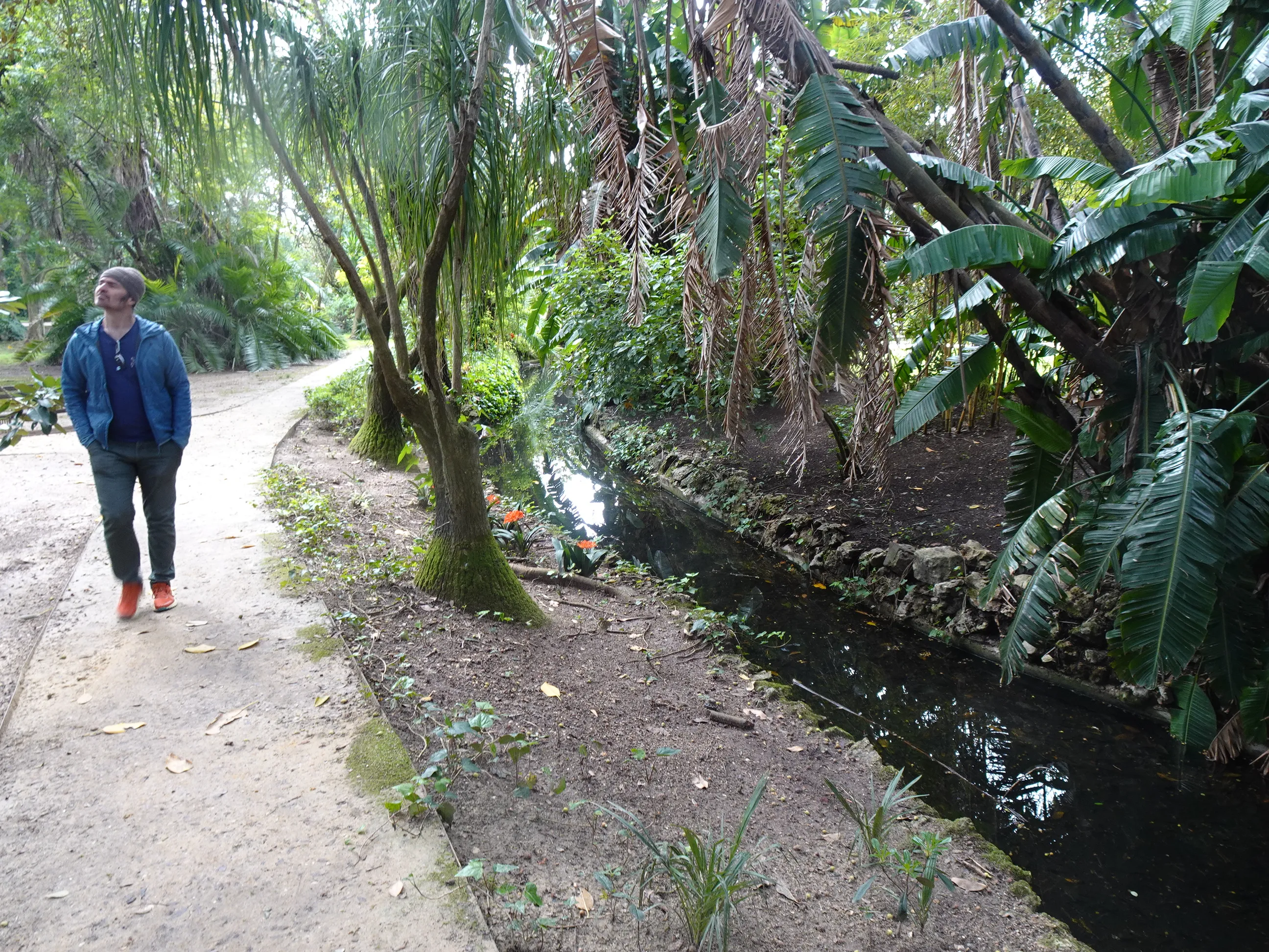 Jardim Botânico Tropical - A Visita