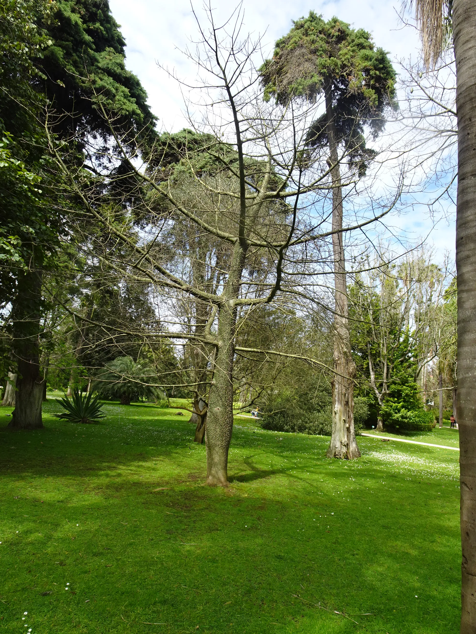 Jardim Botânico Tropical - A Visita