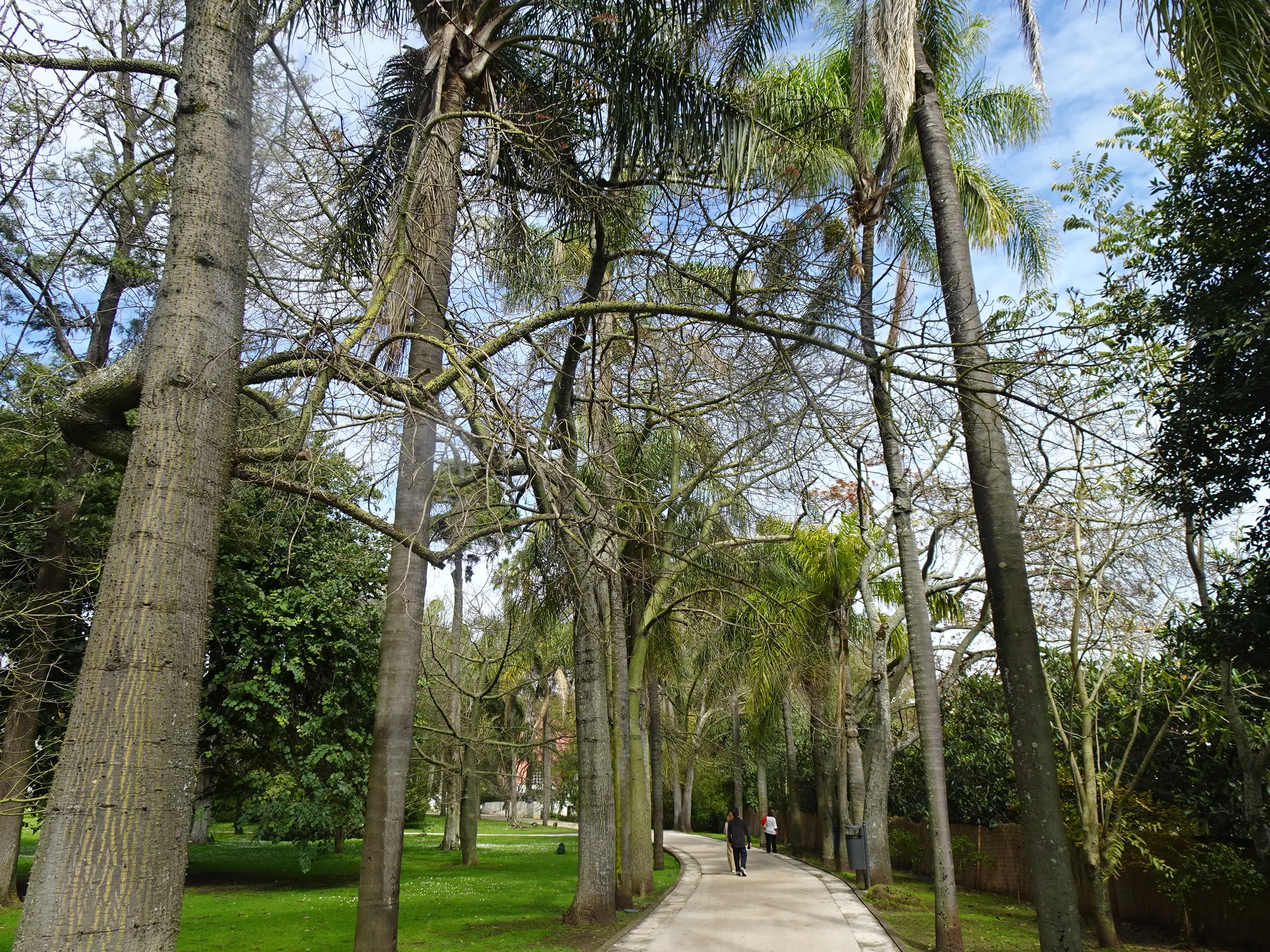 Jardim Botânico Tropical - A Visita
