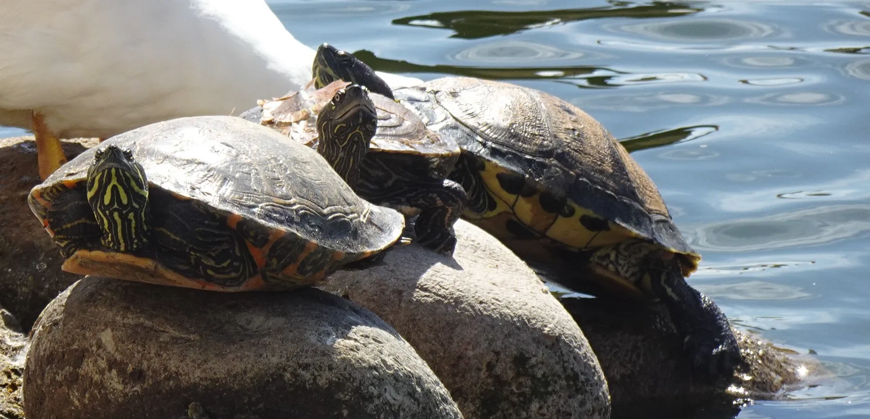 Jardim Botânico Tropical - A Visita