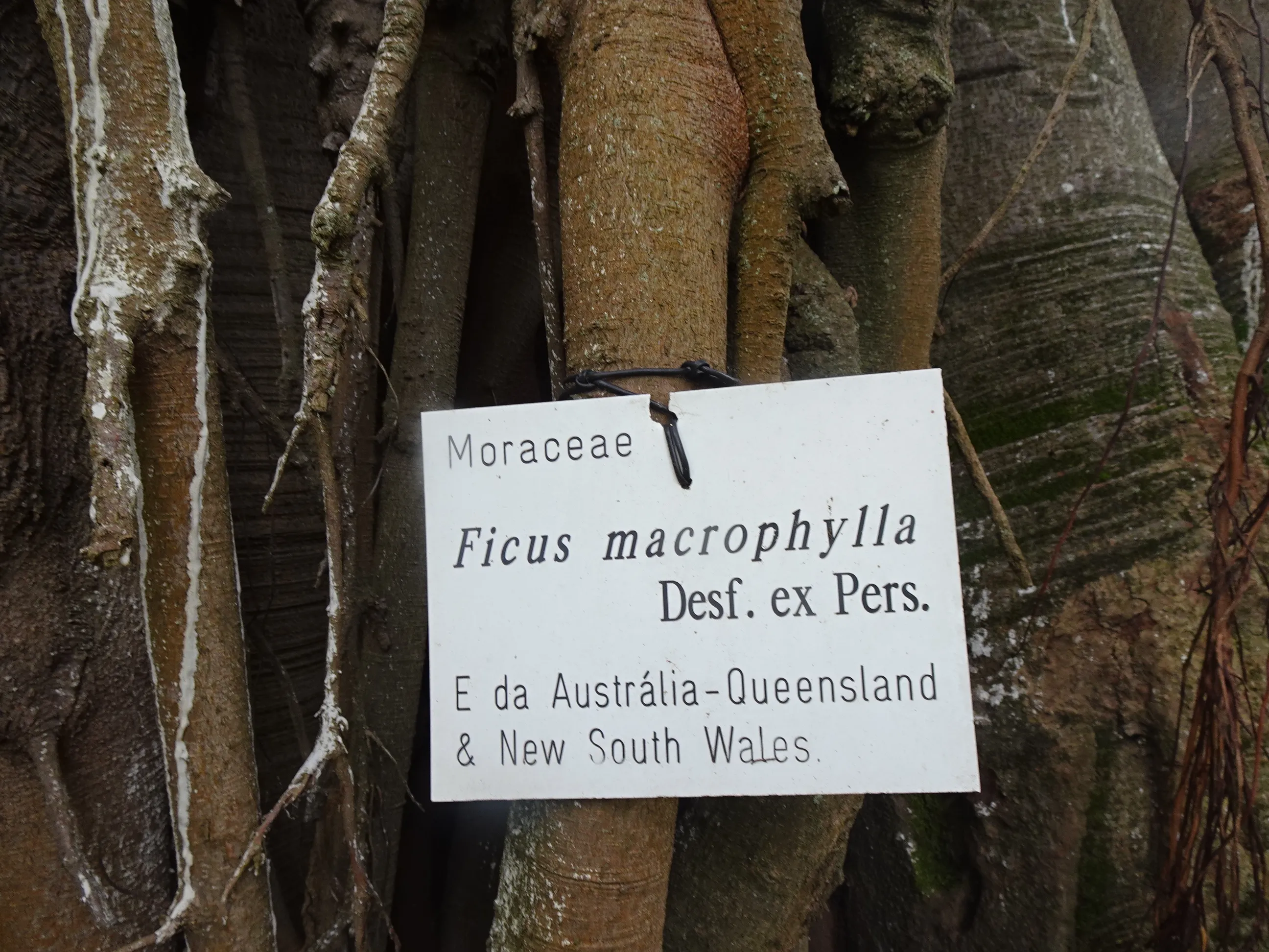 Jardim Botânico Tropical - A Visita