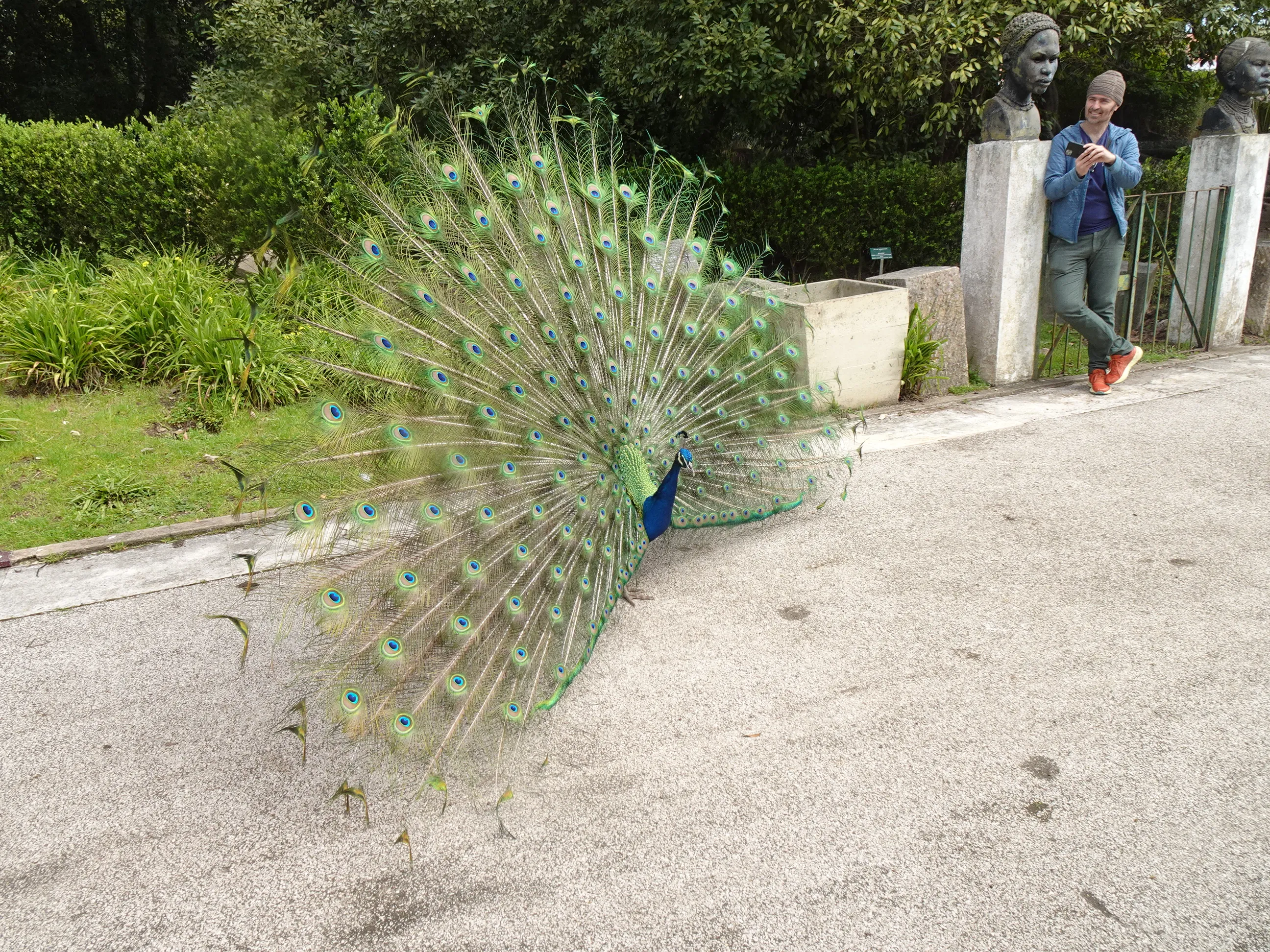 Jardim Botânico Tropical - A Fauna