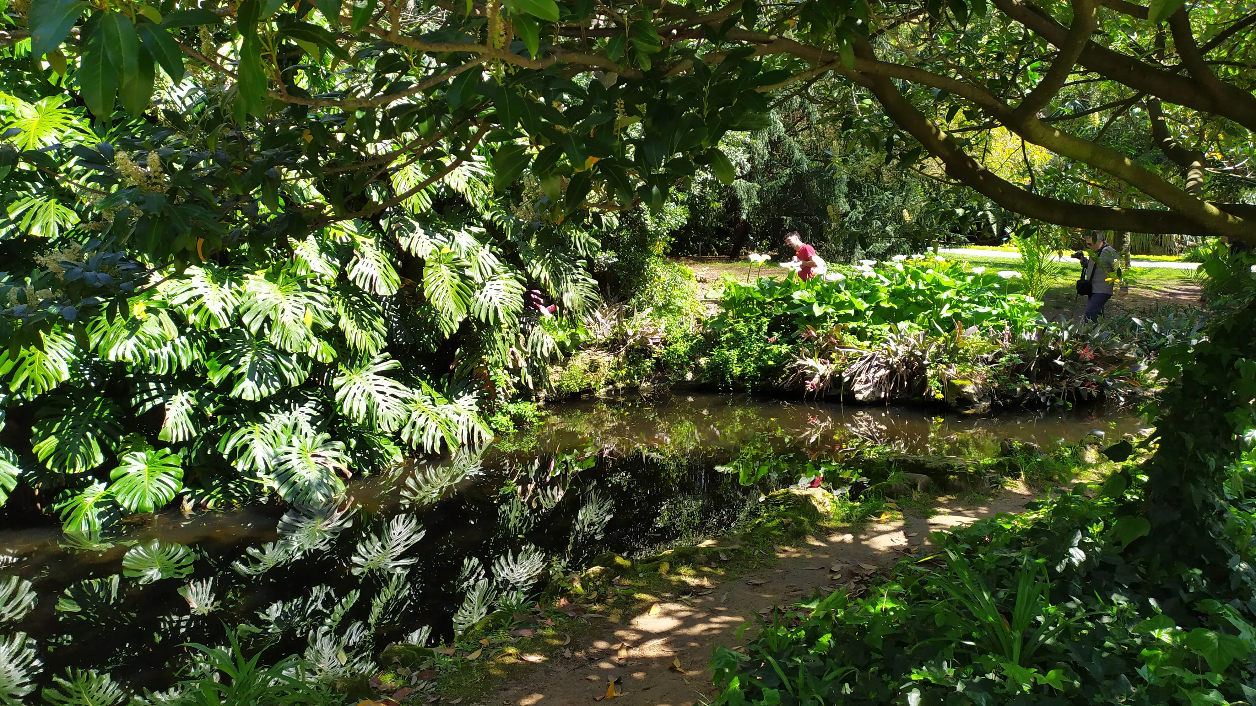 Visita ao Jardim Botânico Tropical