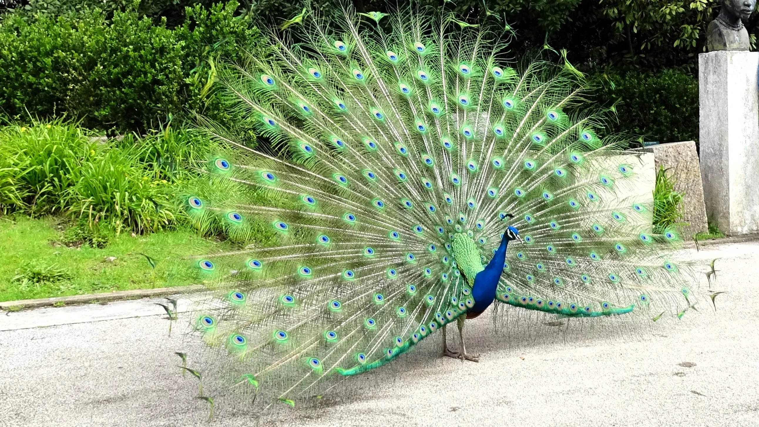 Visita ao Jardim Botânico Tropical