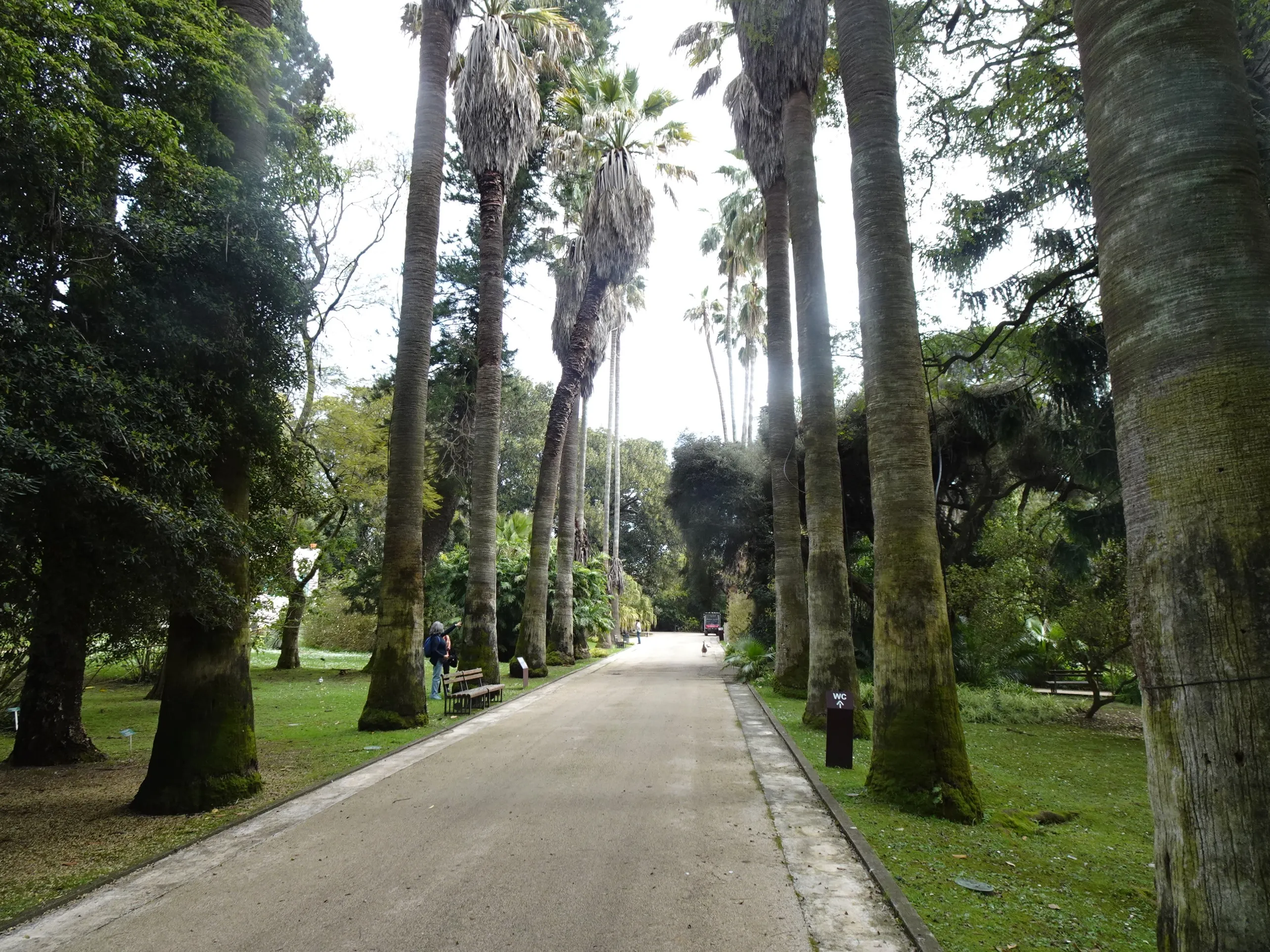 Jardim Botânico Tropical - A Visita