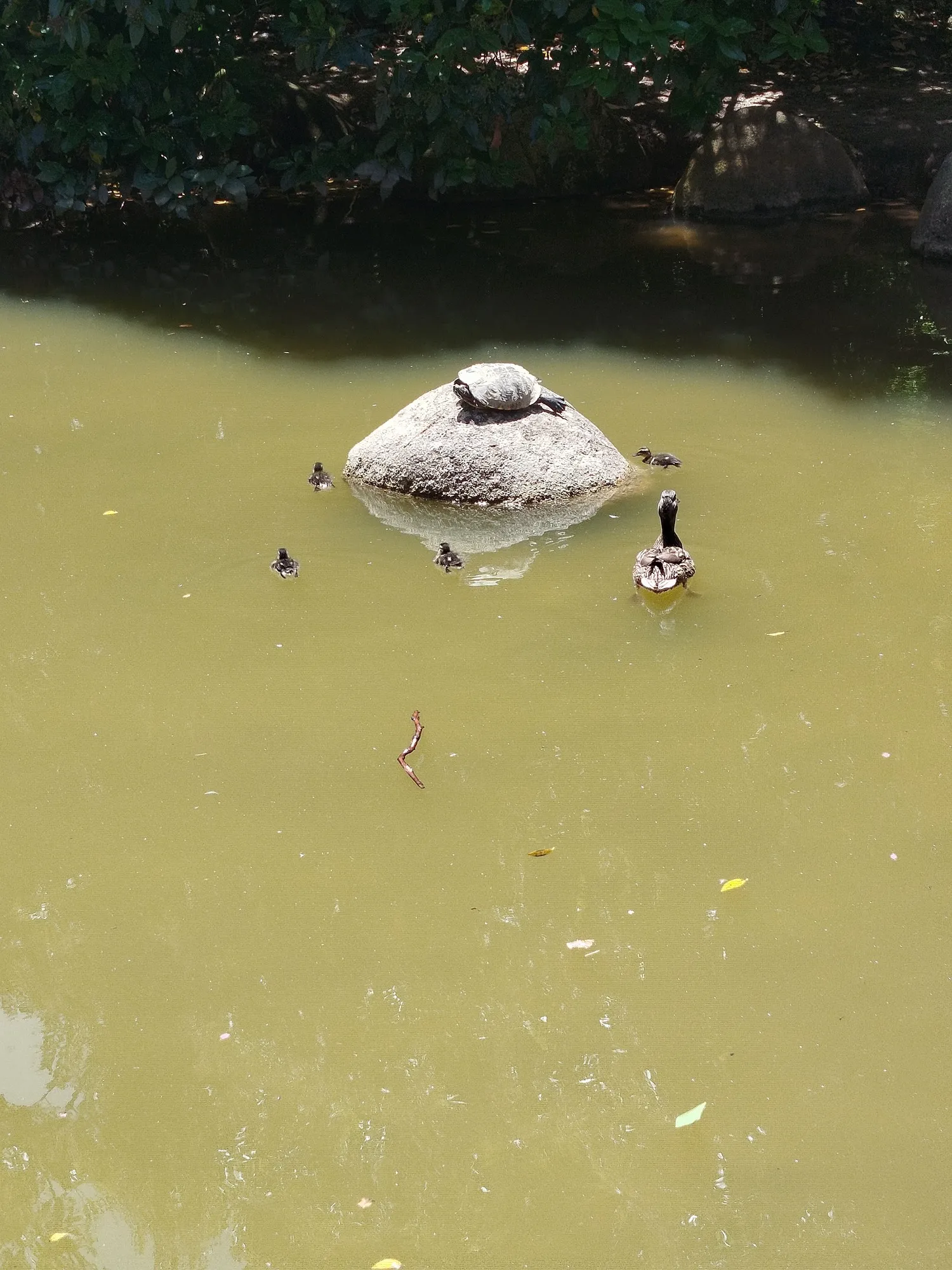 Jardins da Gulbenkian