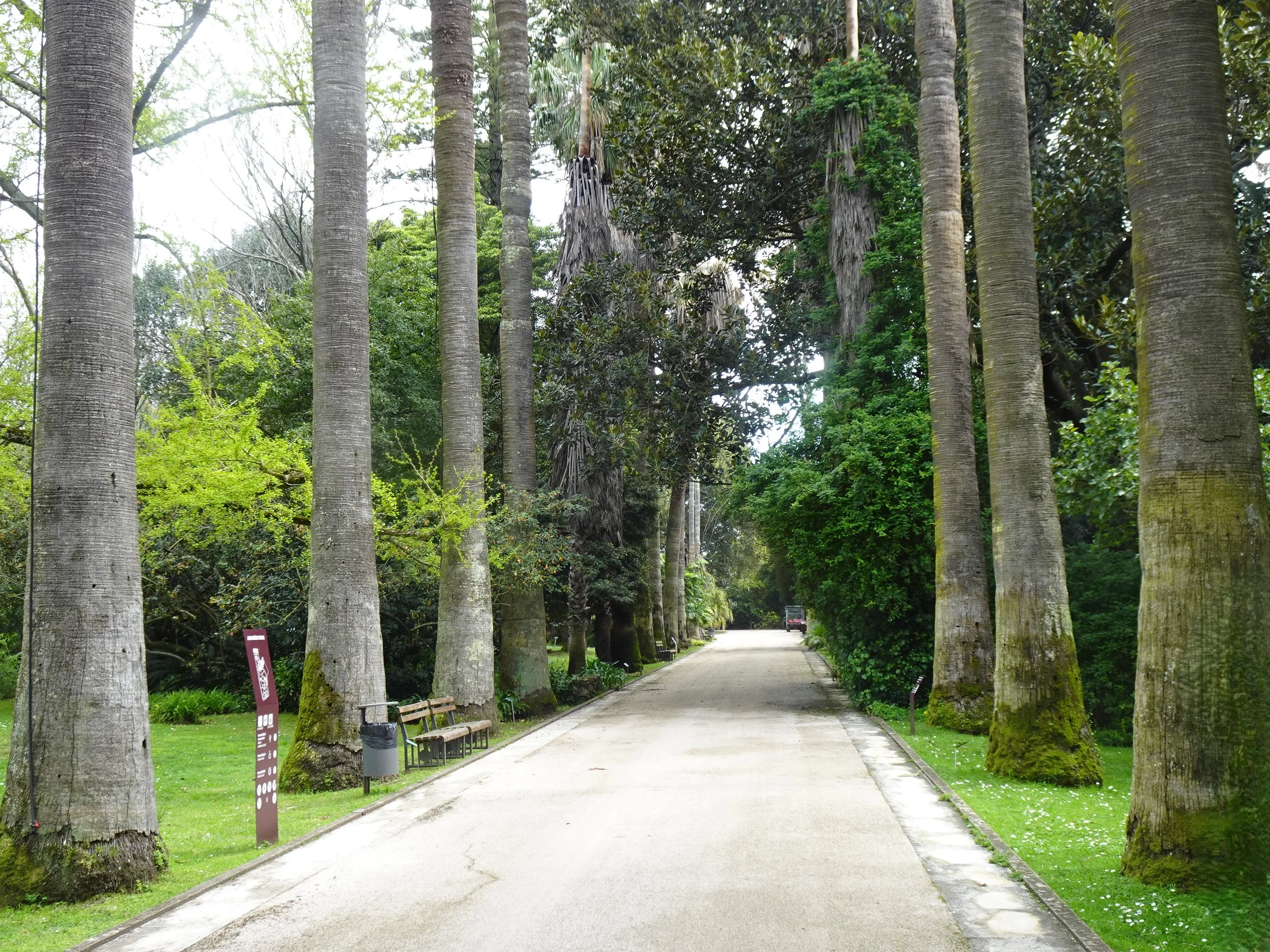 Jardim Botânico Tropical - A Visita