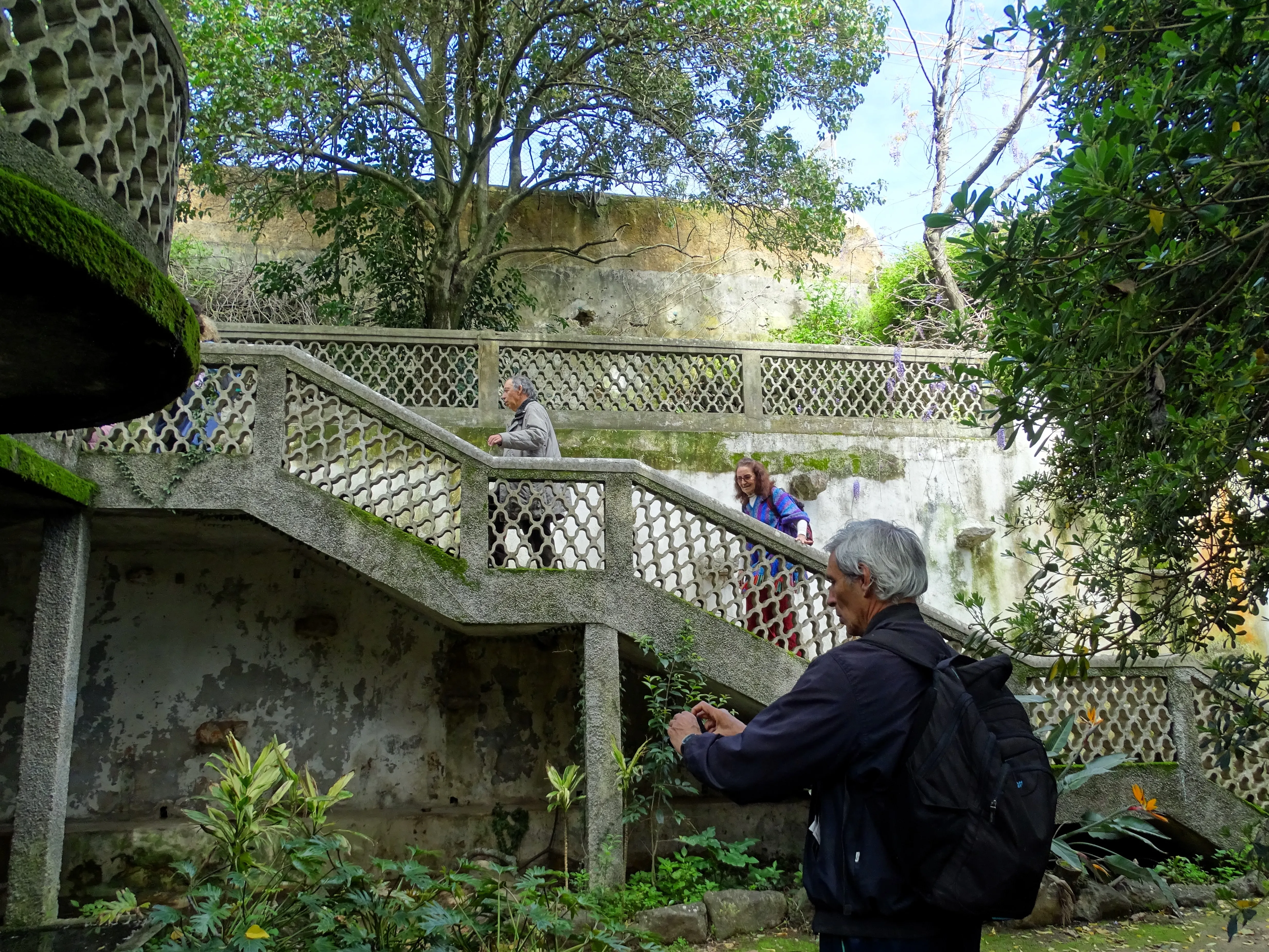 Visita ao Jardim Botânico Tropical
