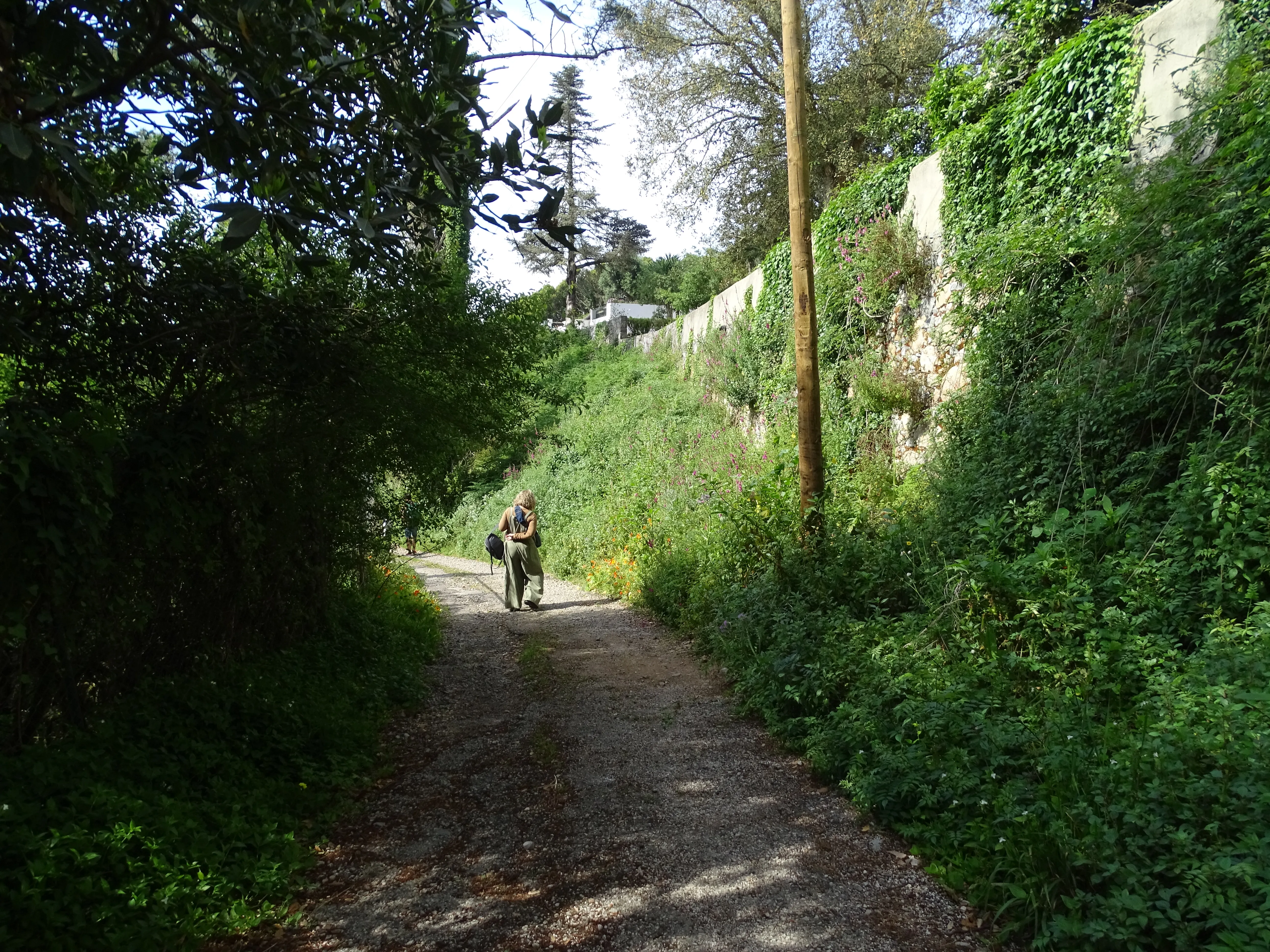 Passeio Pedestre à Lagoa Azul