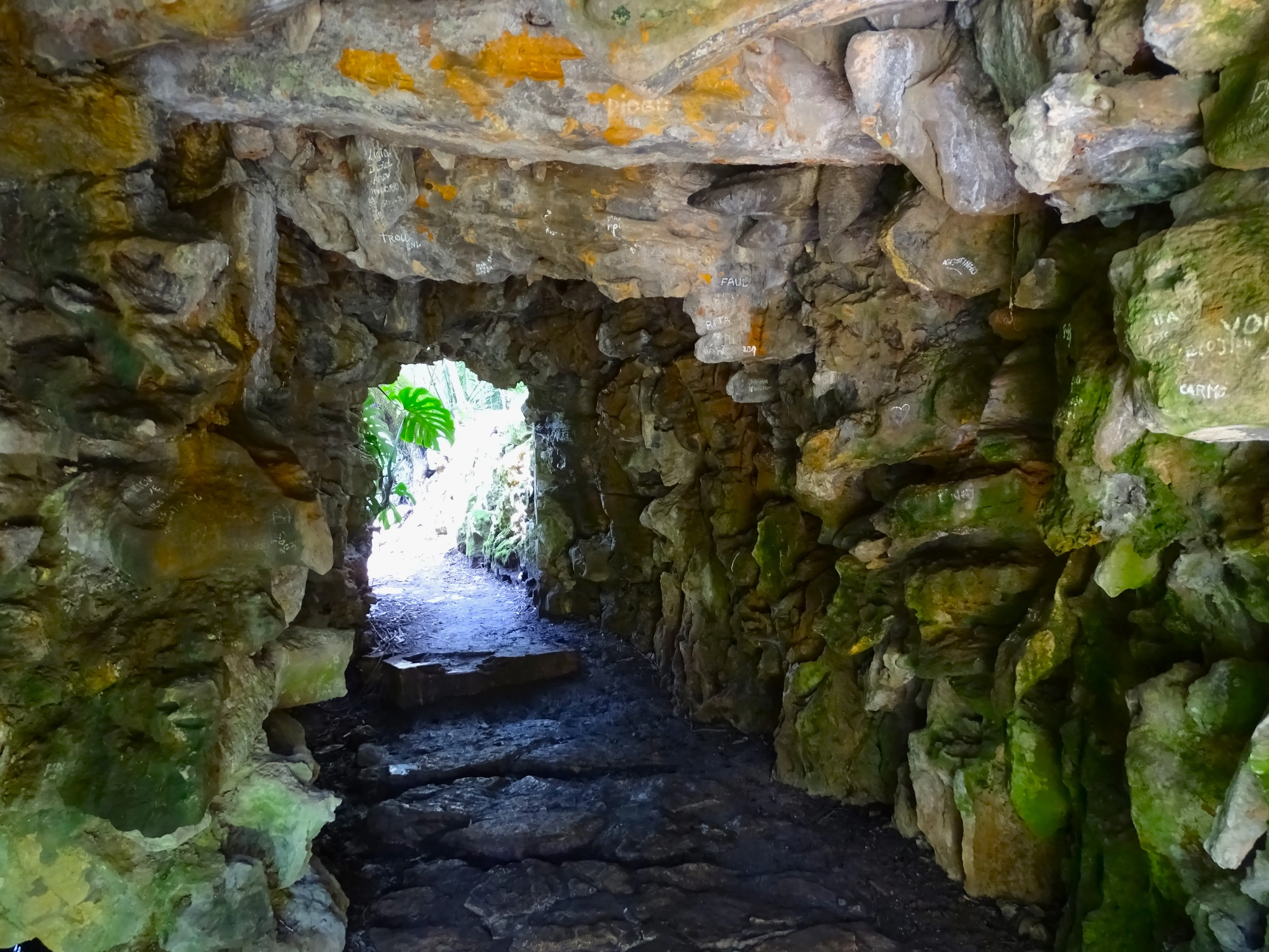 Visita ao Jardim Botânico Tropical