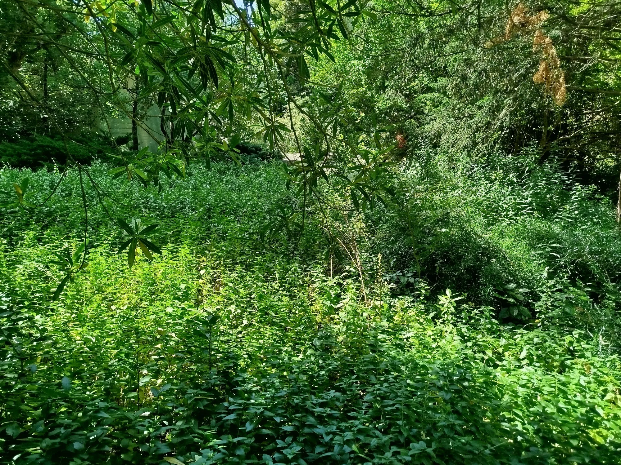 Jardins da Gulbenkian
