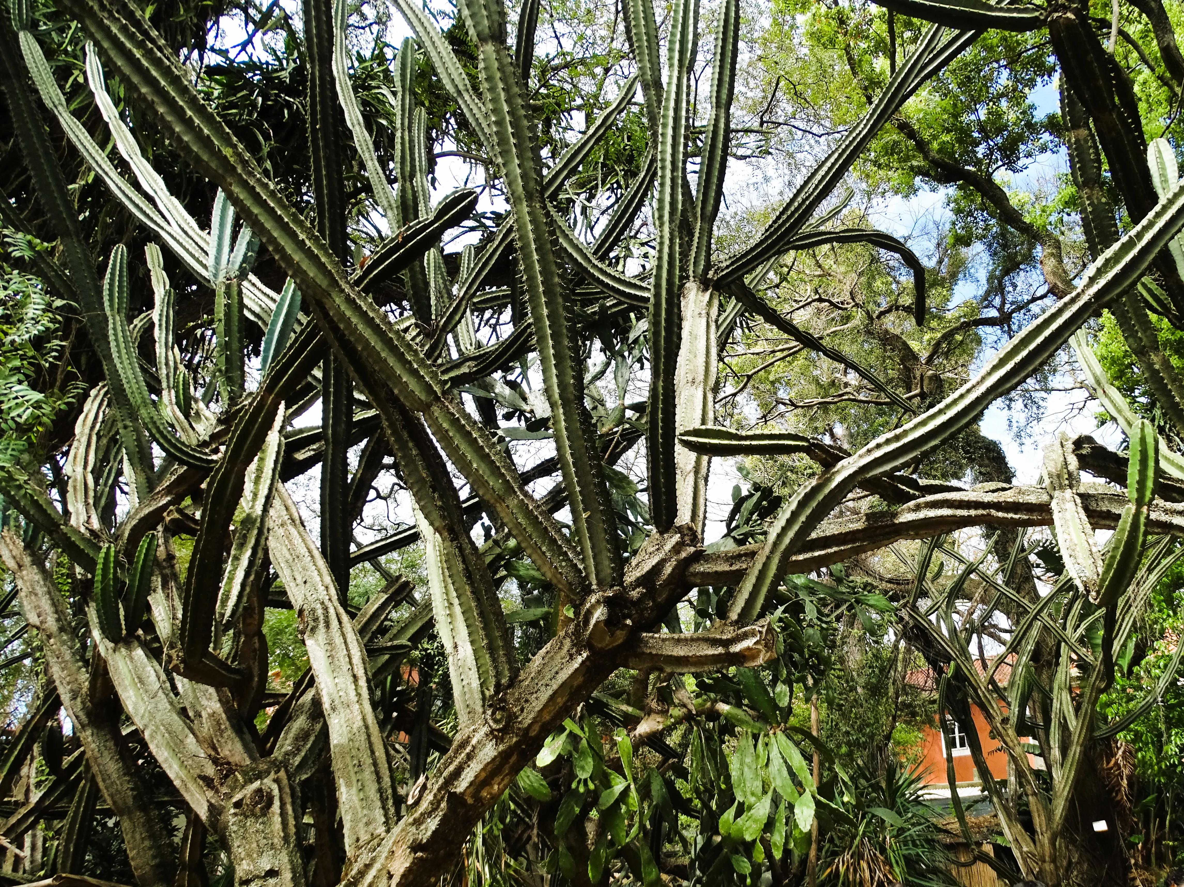 Visita ao Jardim Botânico Tropical