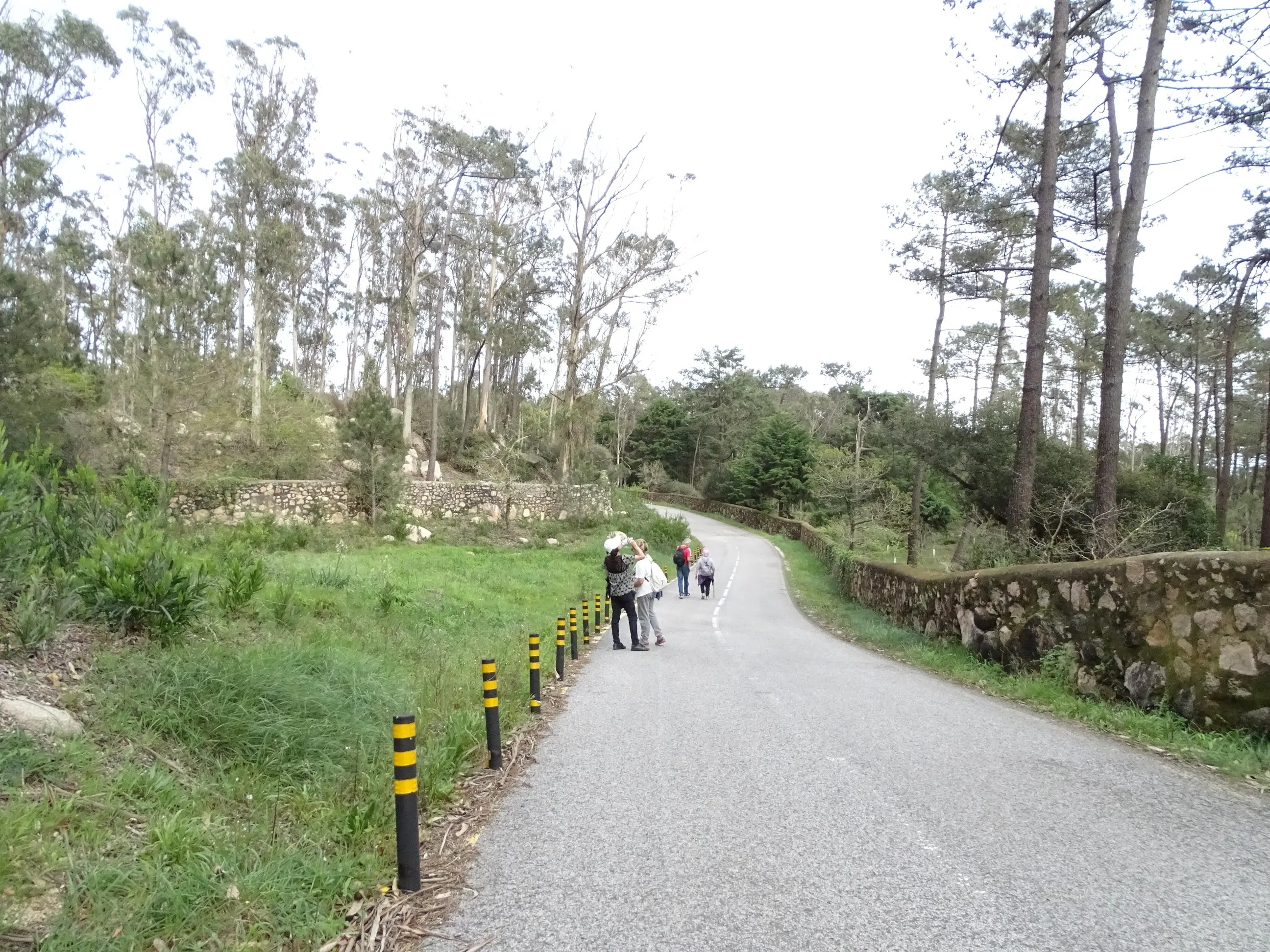 Passeio Pedestre à Lagoa Azul - SPN | 17032024