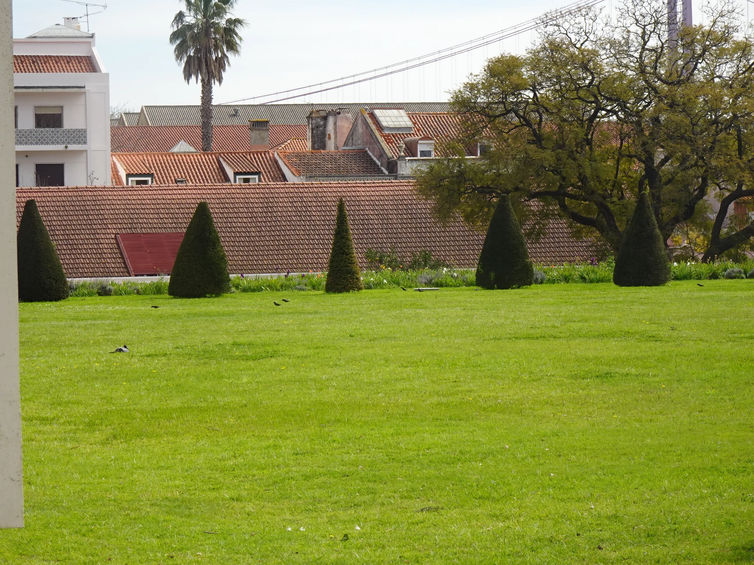Jardim Botânico Tropical - A Visita
