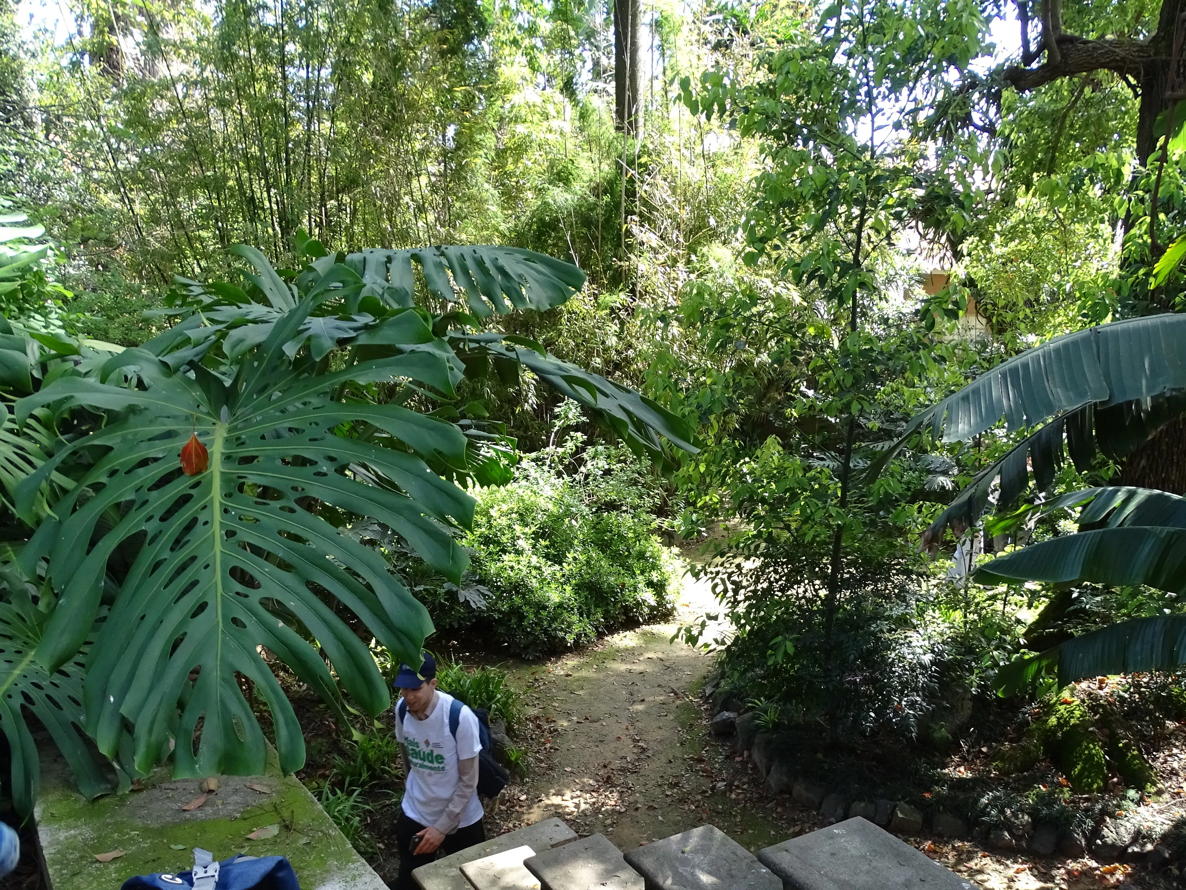 Visita ao Jardim Botânico Tropical